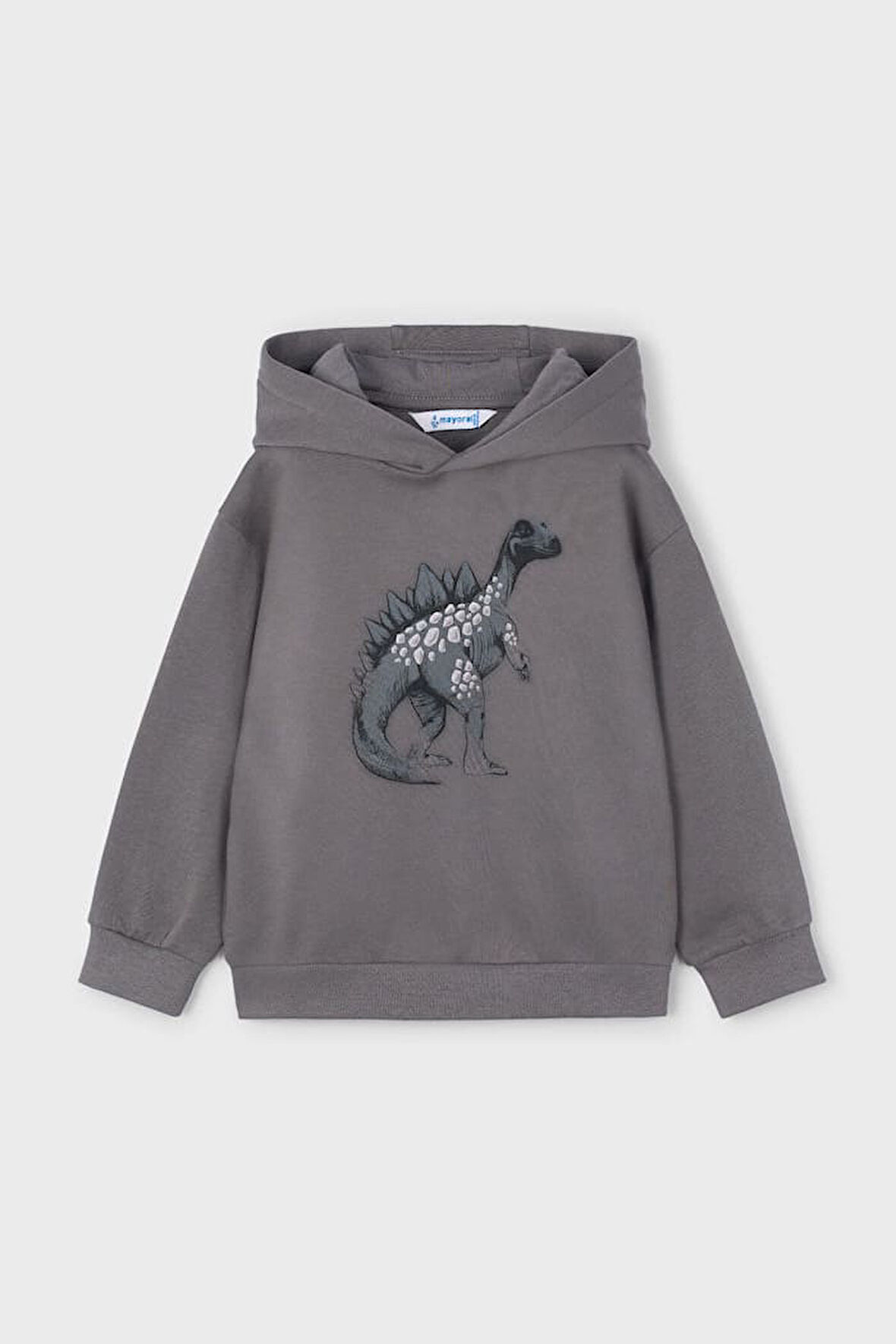 Erkek Çocuk Dinozor Baskılı Kapüşonlu Sweatshirt - Gri | 5 Yaş