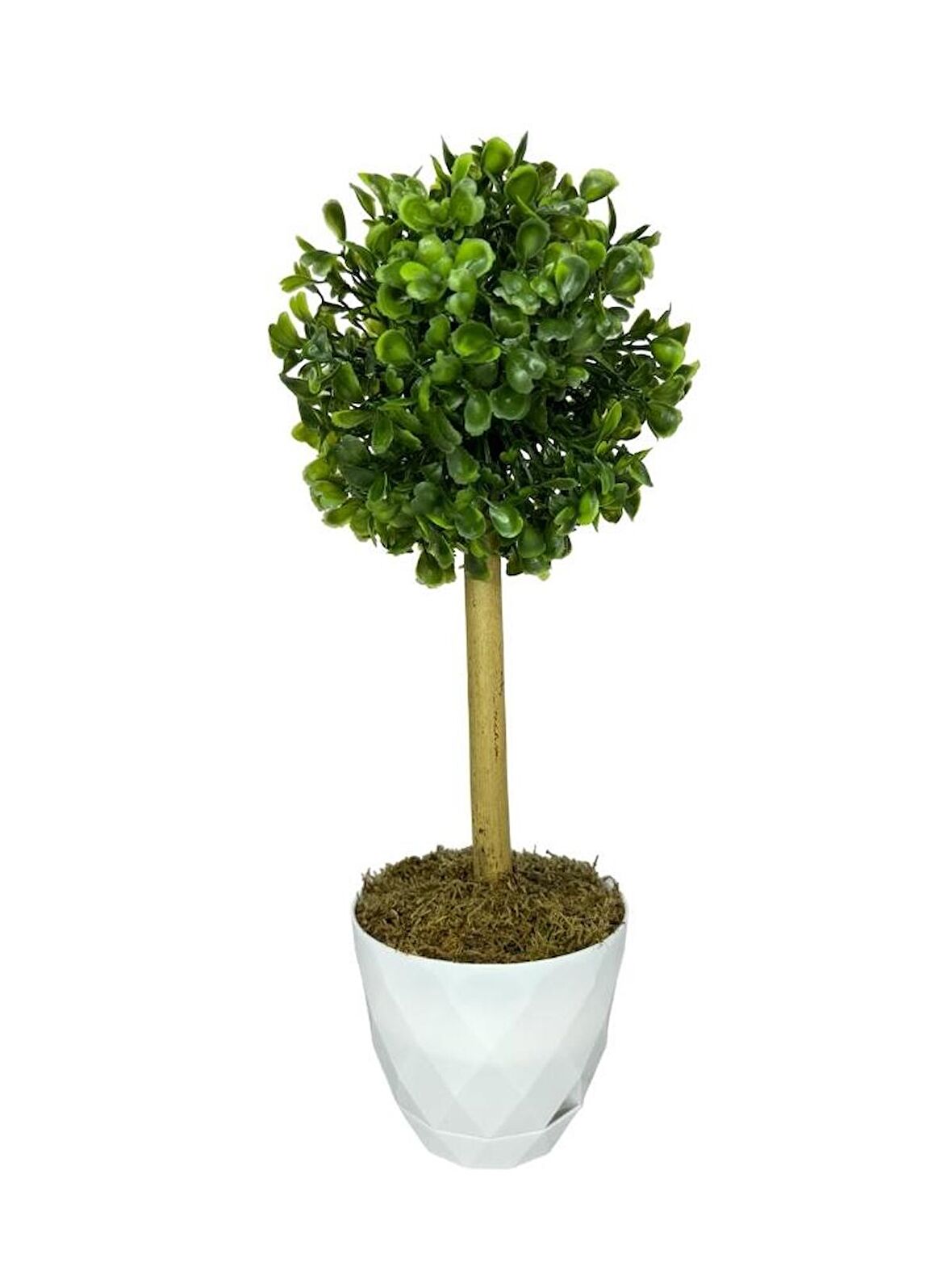 Yapay Ağaç Şimşir Top Tek Toplu 12x31cm Beyaz Saksıda 