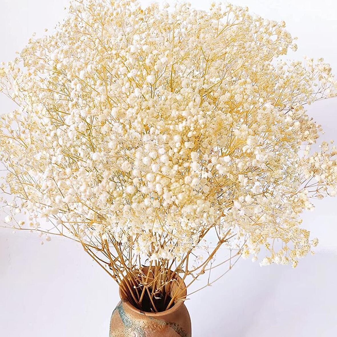 Kuru Çiçek Doğal KREM Cipso 50gram 1. Kalite Şoklanmış Bozulmaz