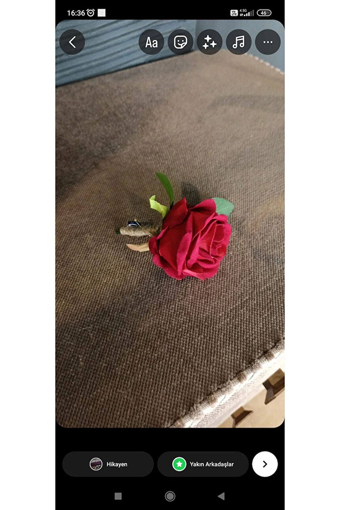 Kirmizi gül Damat yaka çiçeği