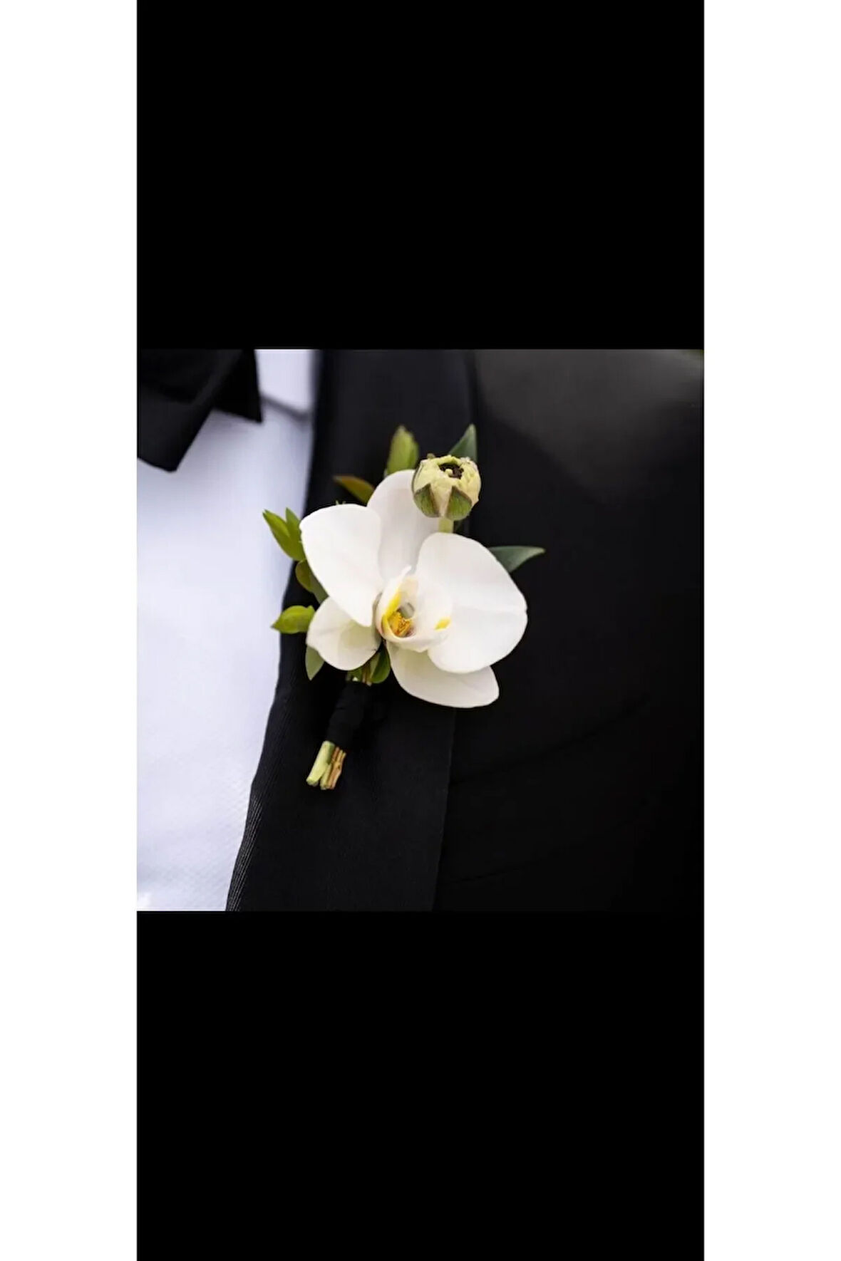 Damat Yaka çiçeği ,sağdıç cicegi