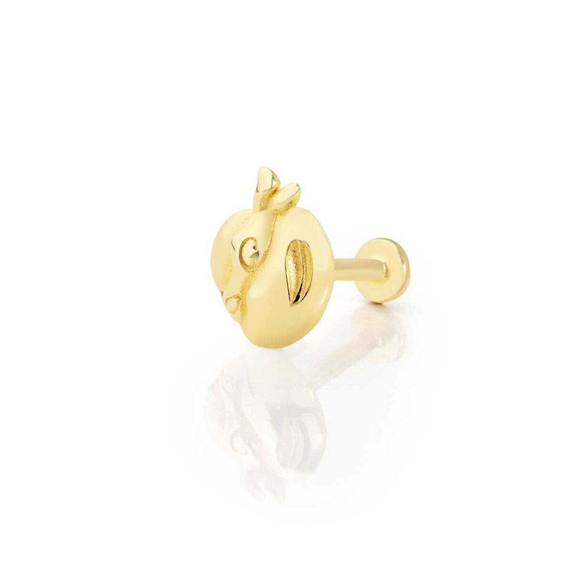 Ninja Kaplumbağa Figür Tragus Piercing