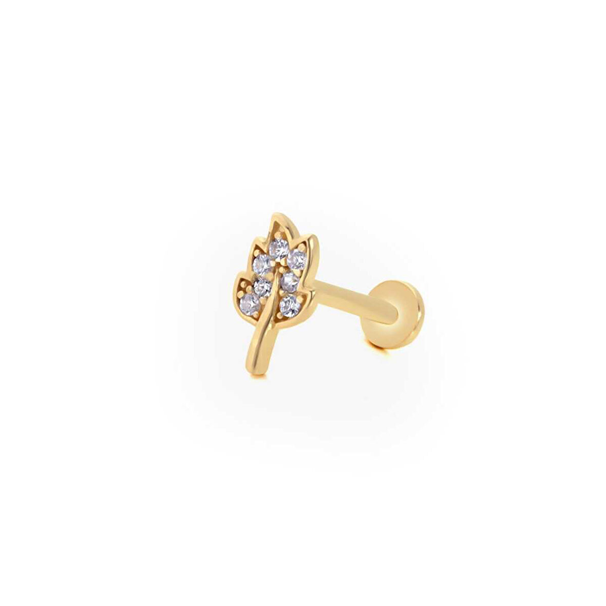 Yaprak Model Tragus Piercing