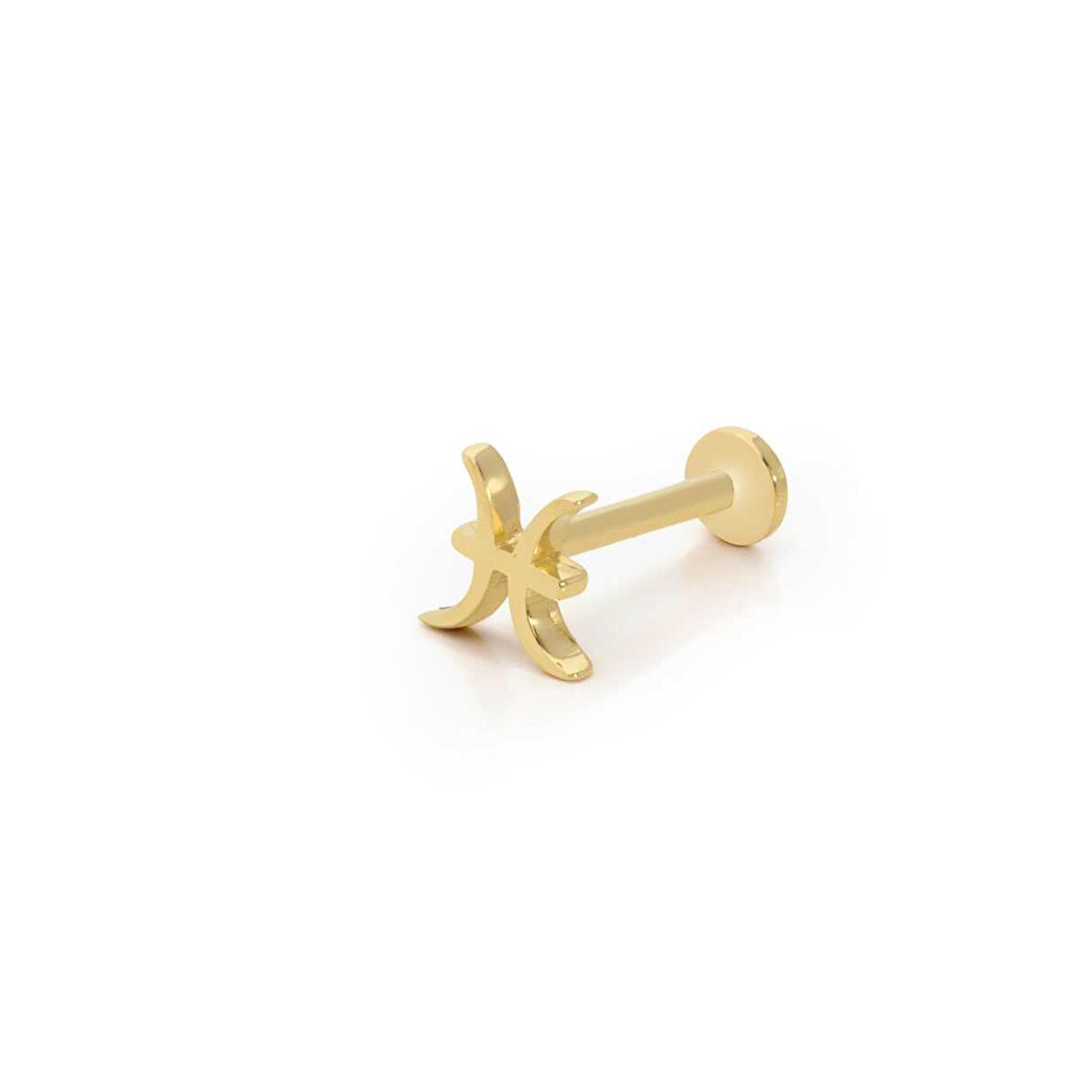 Balık Burç Tragus Piercing