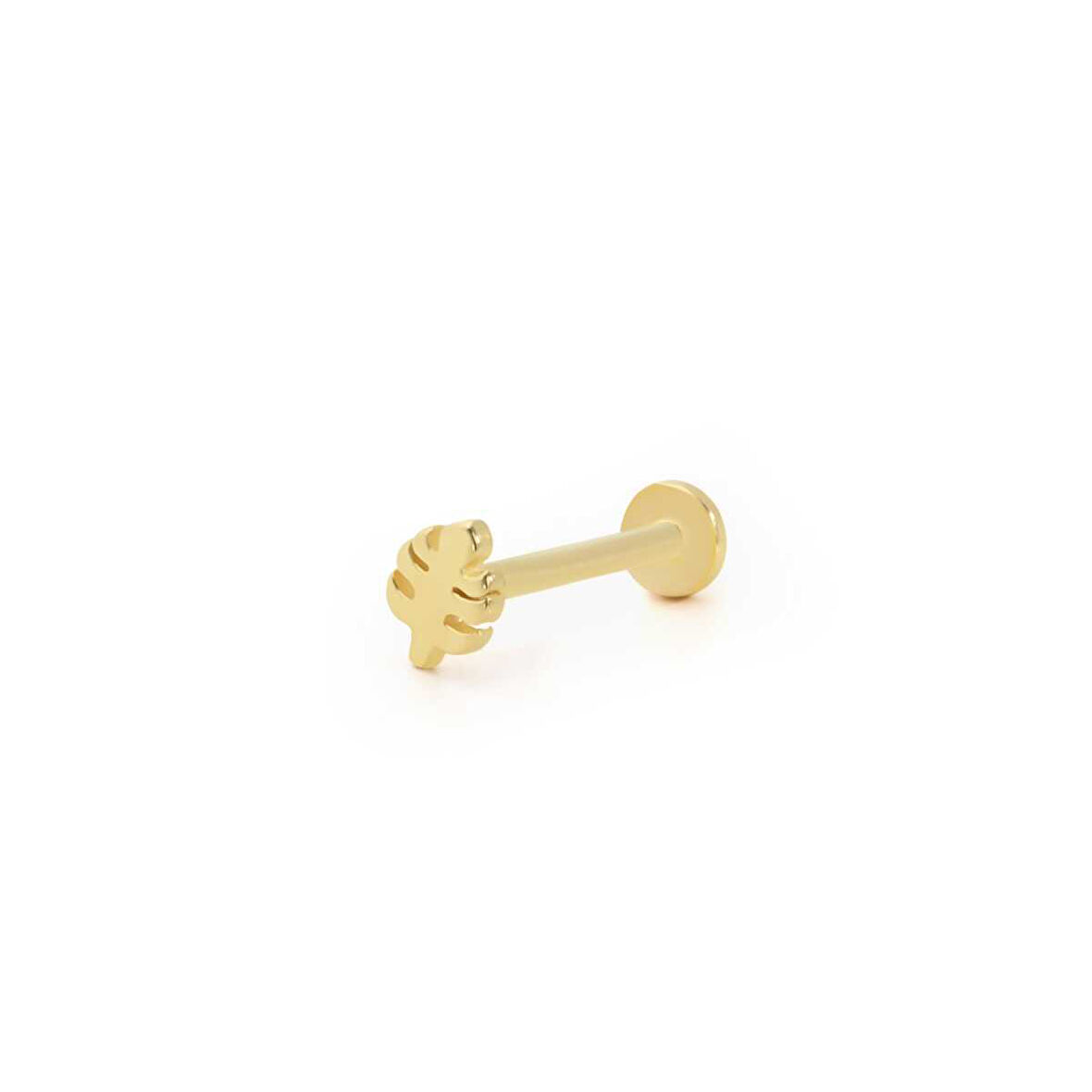 Yaprak Figür Tragus Piercing