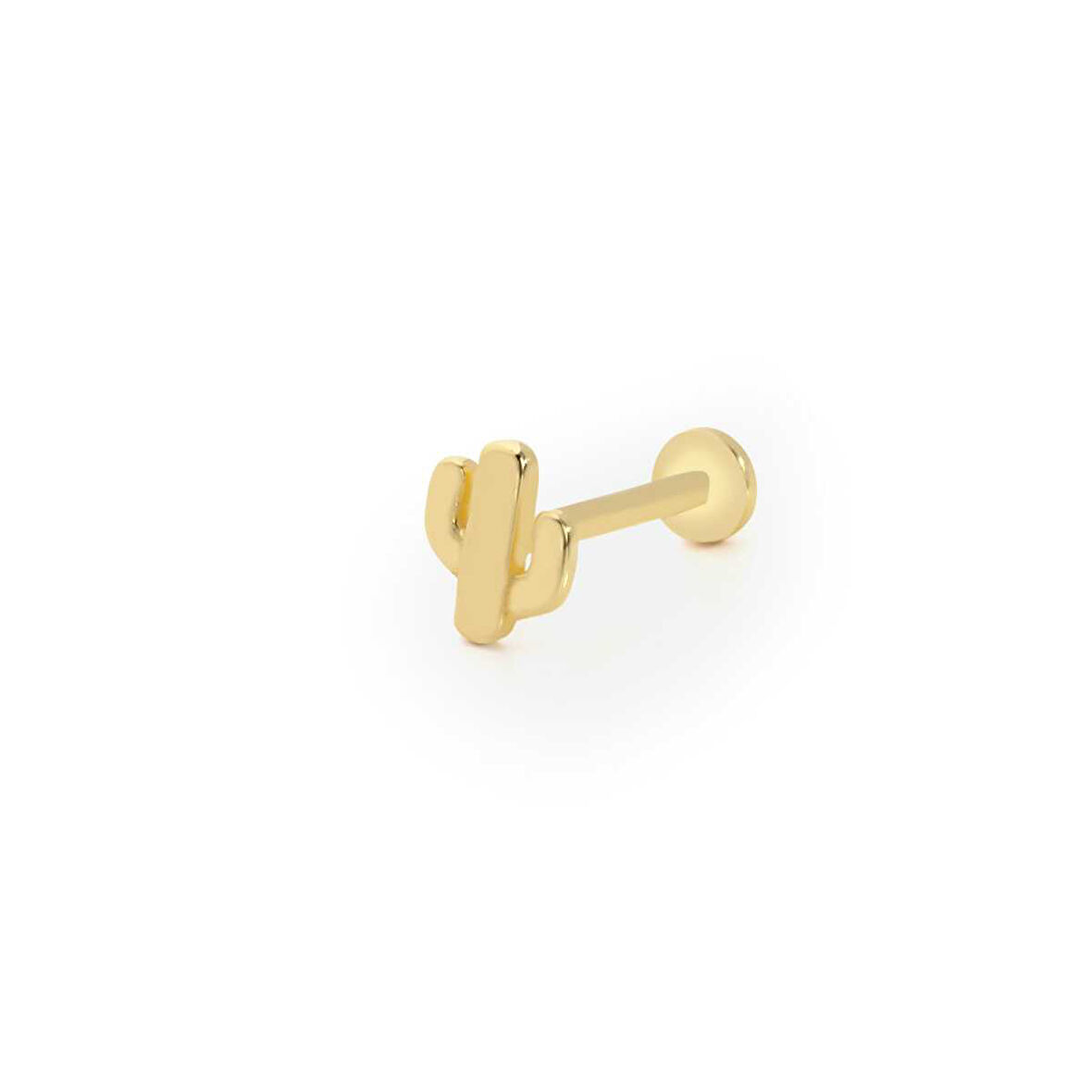 Kısa Boy Kaktüs Model Tragus Piercing