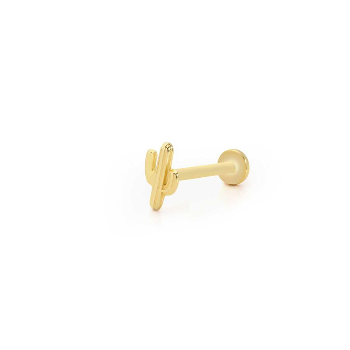 Uzun Boy Kaktüs Model Tragus Piercing