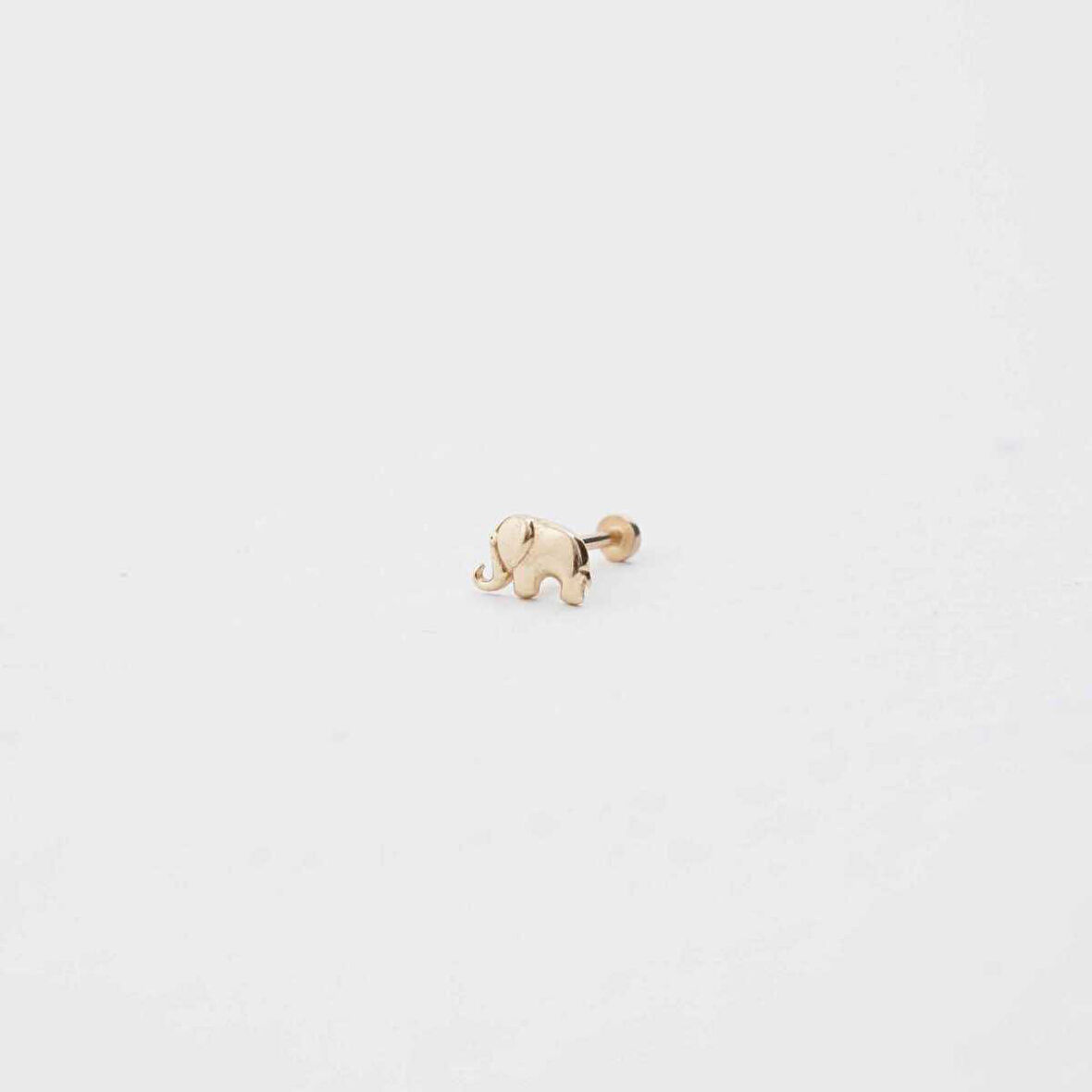 Fil Tragus