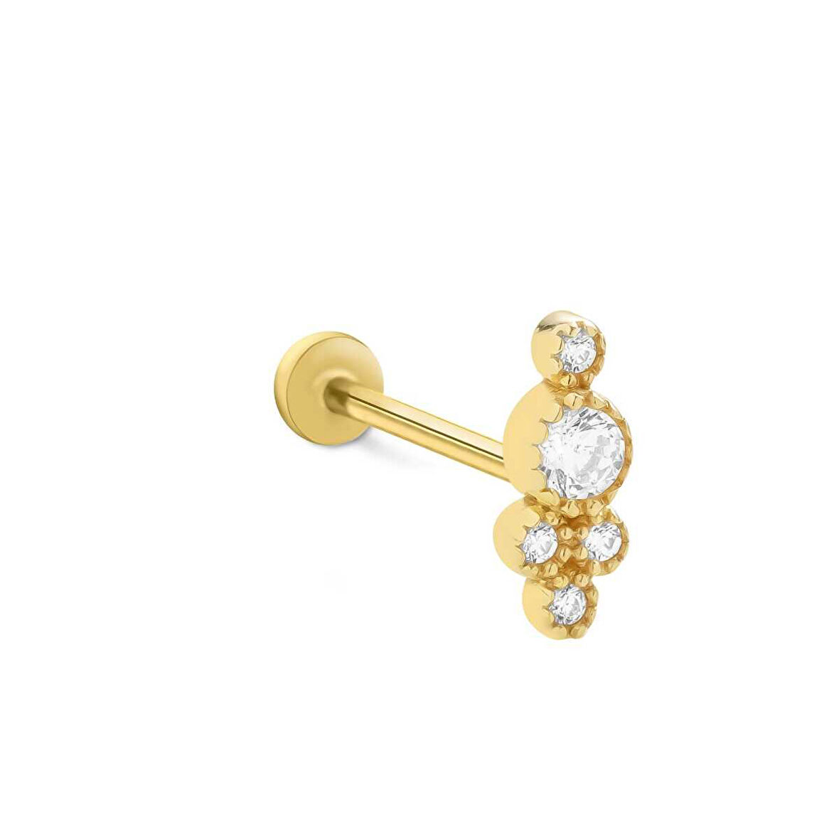 Elegant Tragus