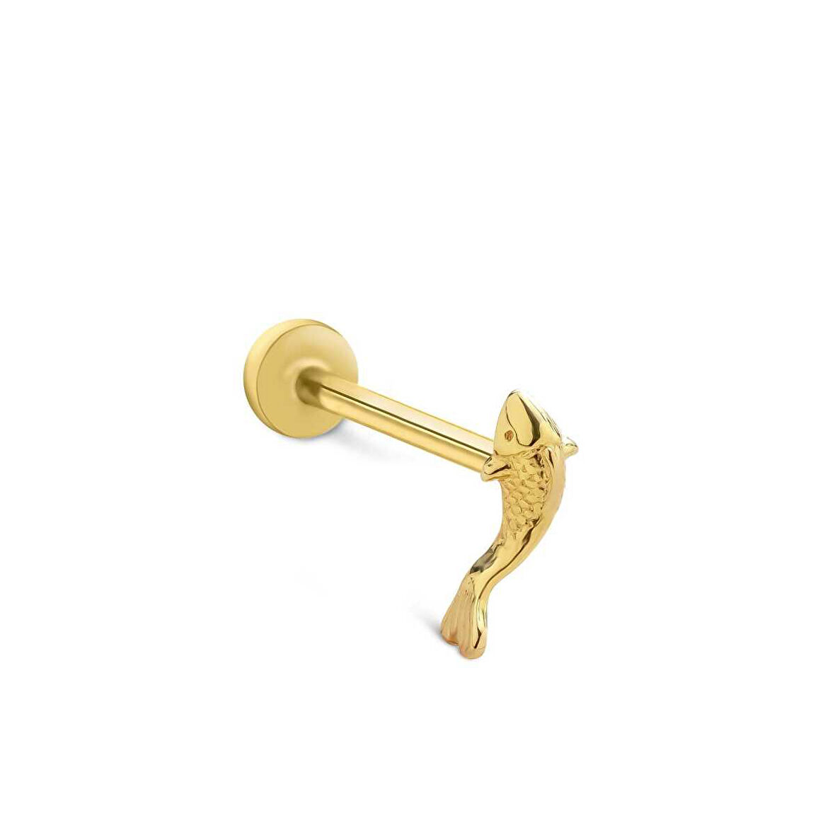 Big Balık Tragus