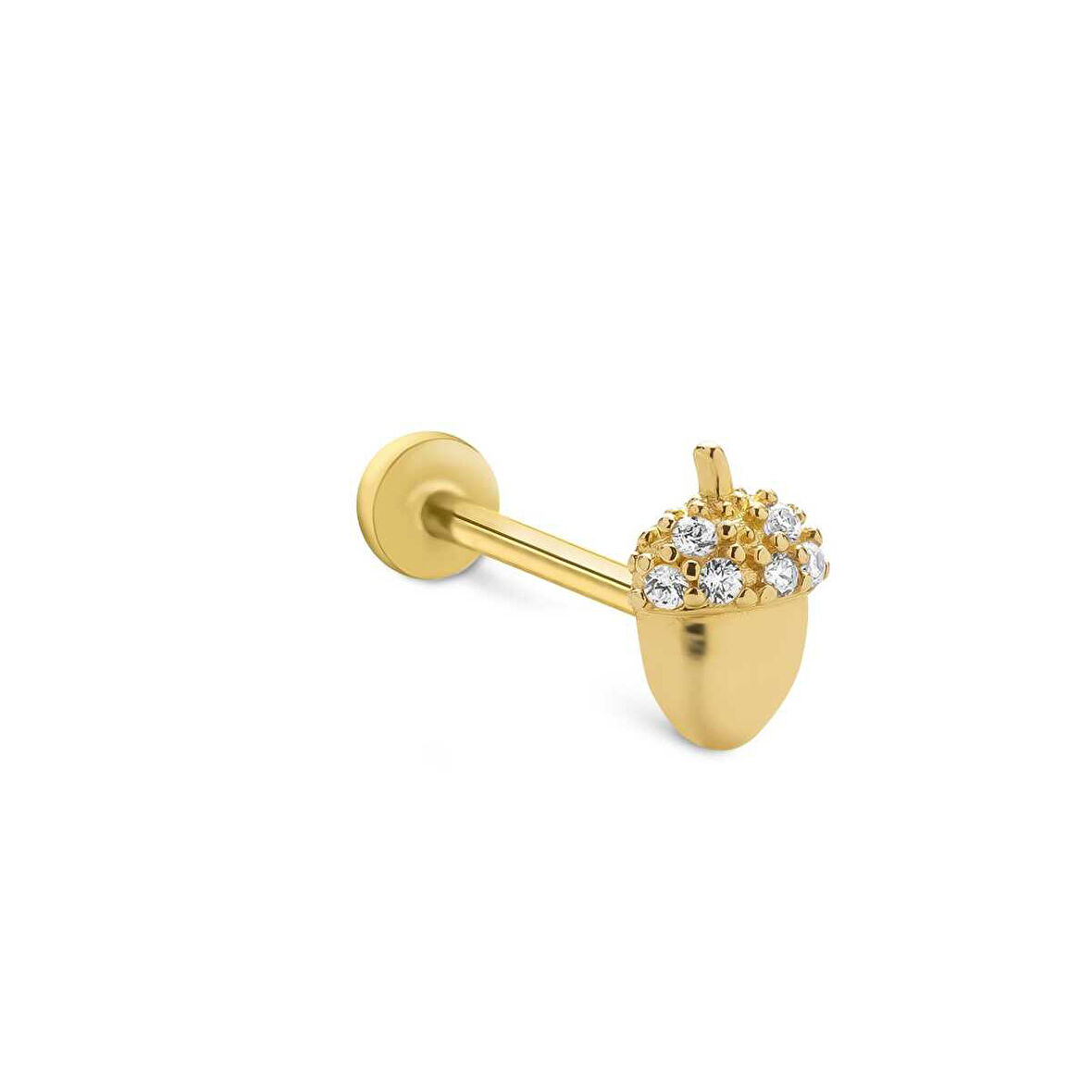Palamut Tragus