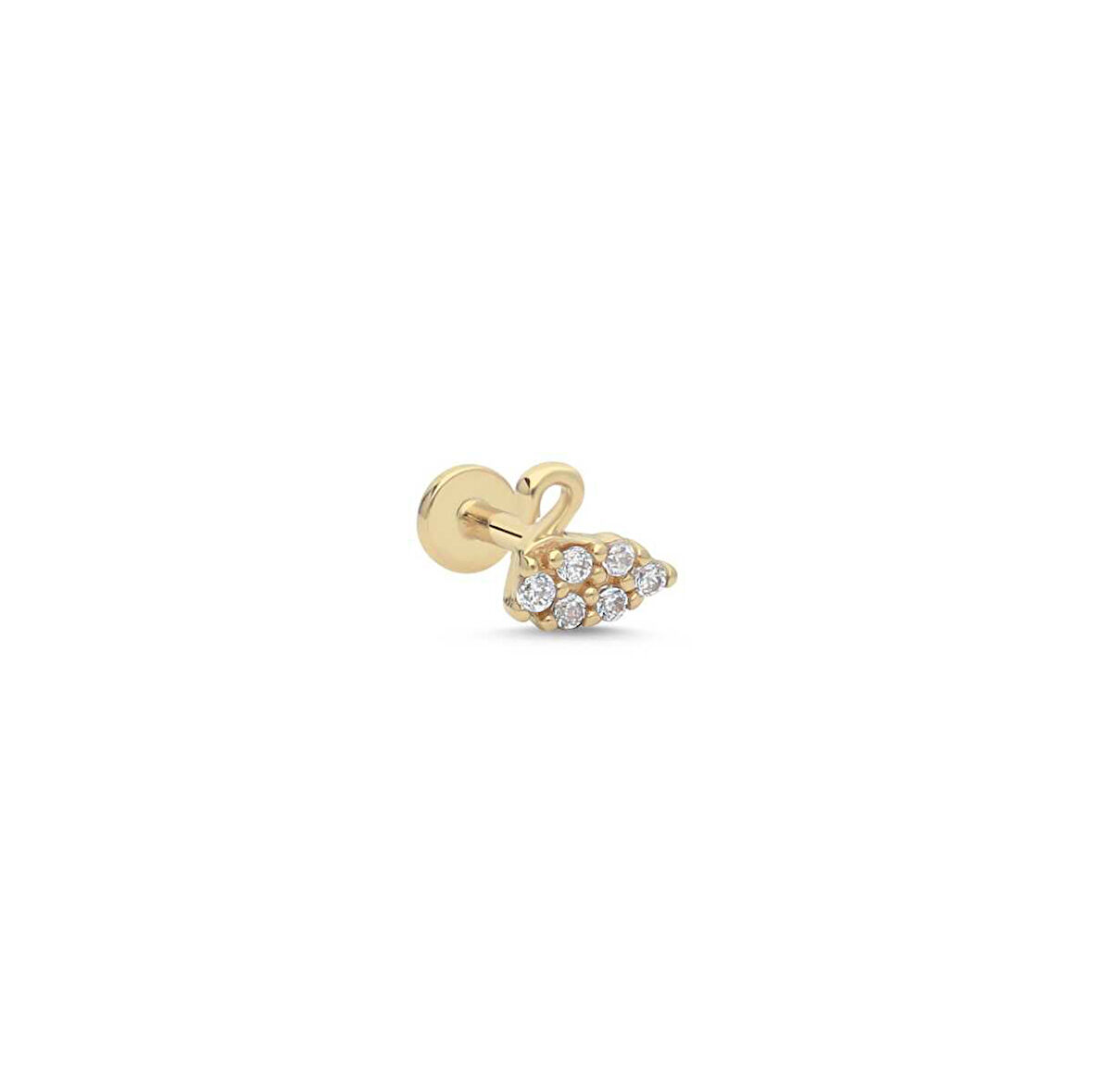 Kuğu Tragus Piercing