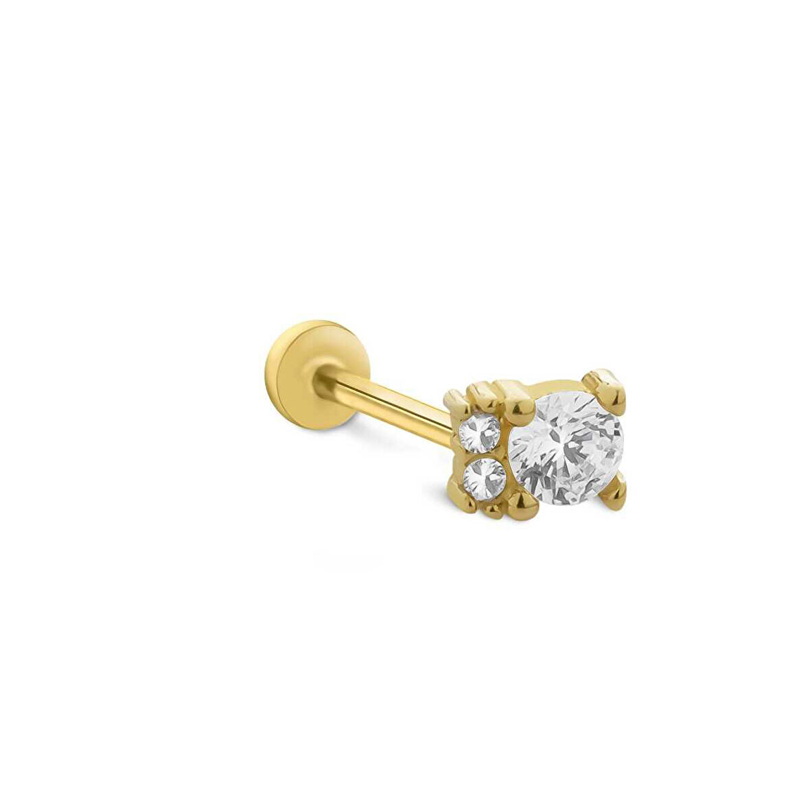 Dina Tragus Piercing
