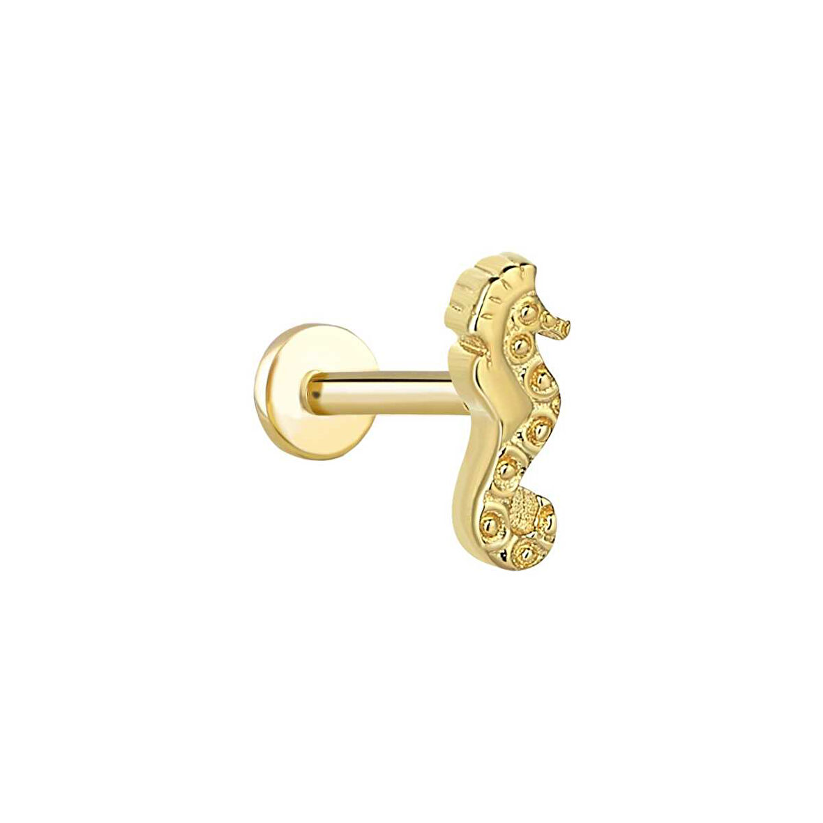 Deniz Atı Tragus Piercing