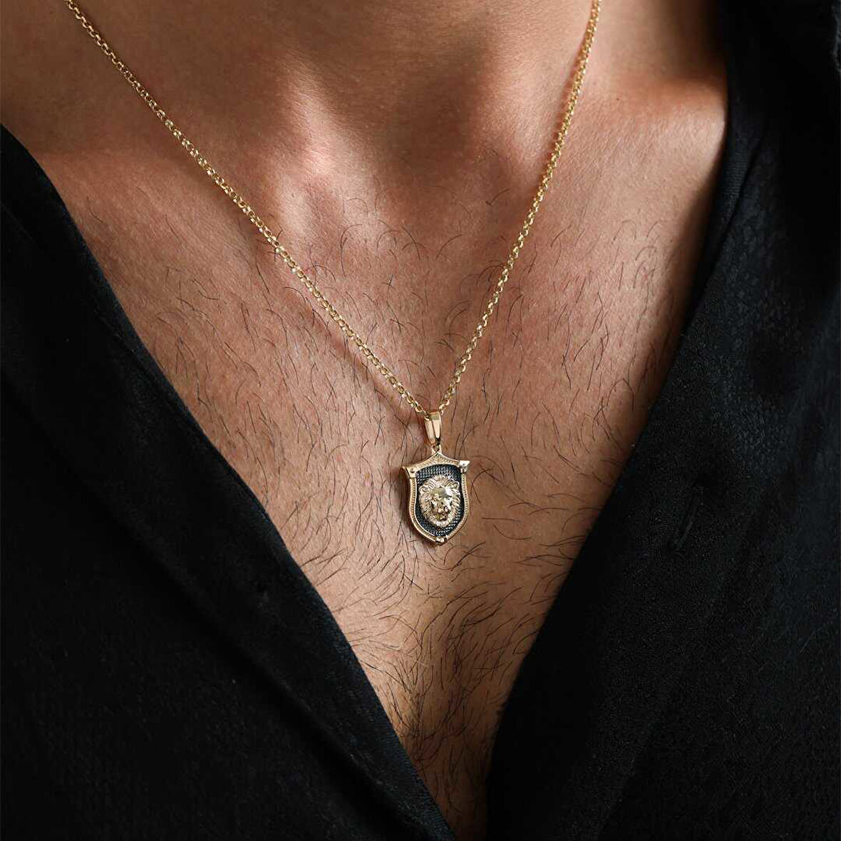 Lion Shield Erkek Kolye