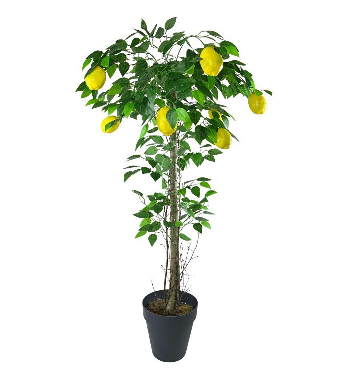 Yapay Limon Ağacı 130cm 8 Limonlu Doğal Görünümlü Siyah Plastik Saksılı Yapay Ağaç