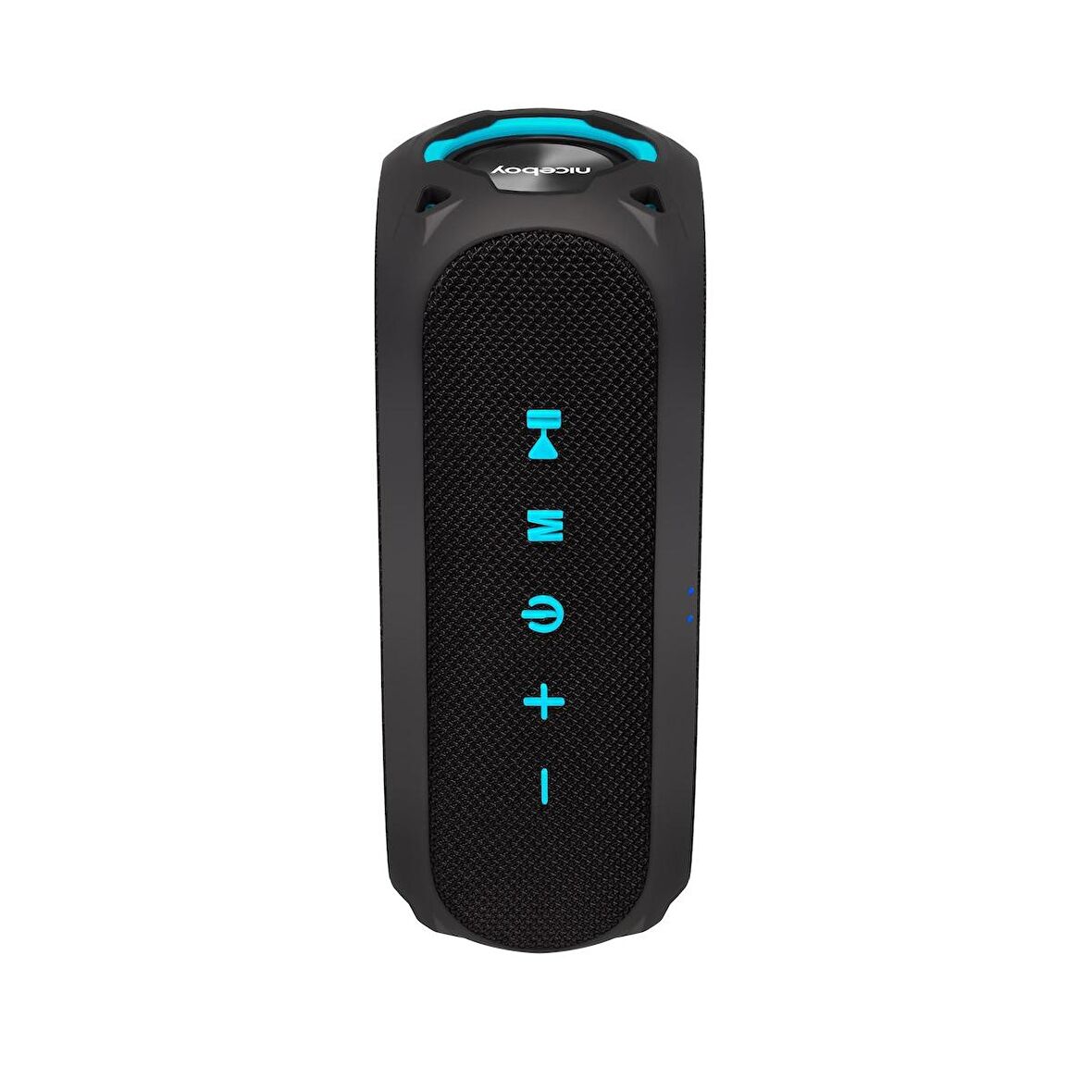 Niceboy RAZE Radion 4 30W Kablosuz Bluetooth 5.0 IP67 Radyolu Hoparlör