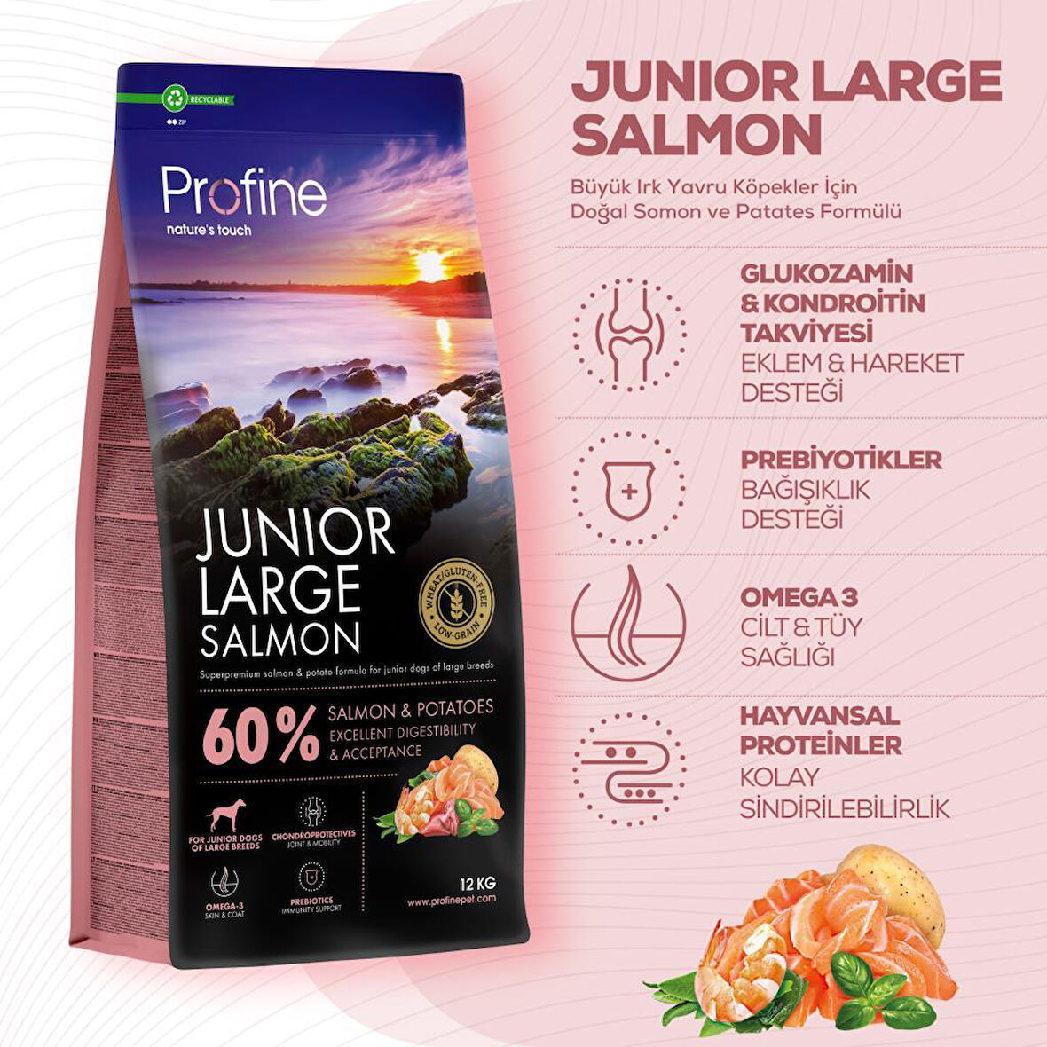 Profine Junior Large Glutensiz Büyük Irk Somonlu Yavru Köpek Maması 12 kg