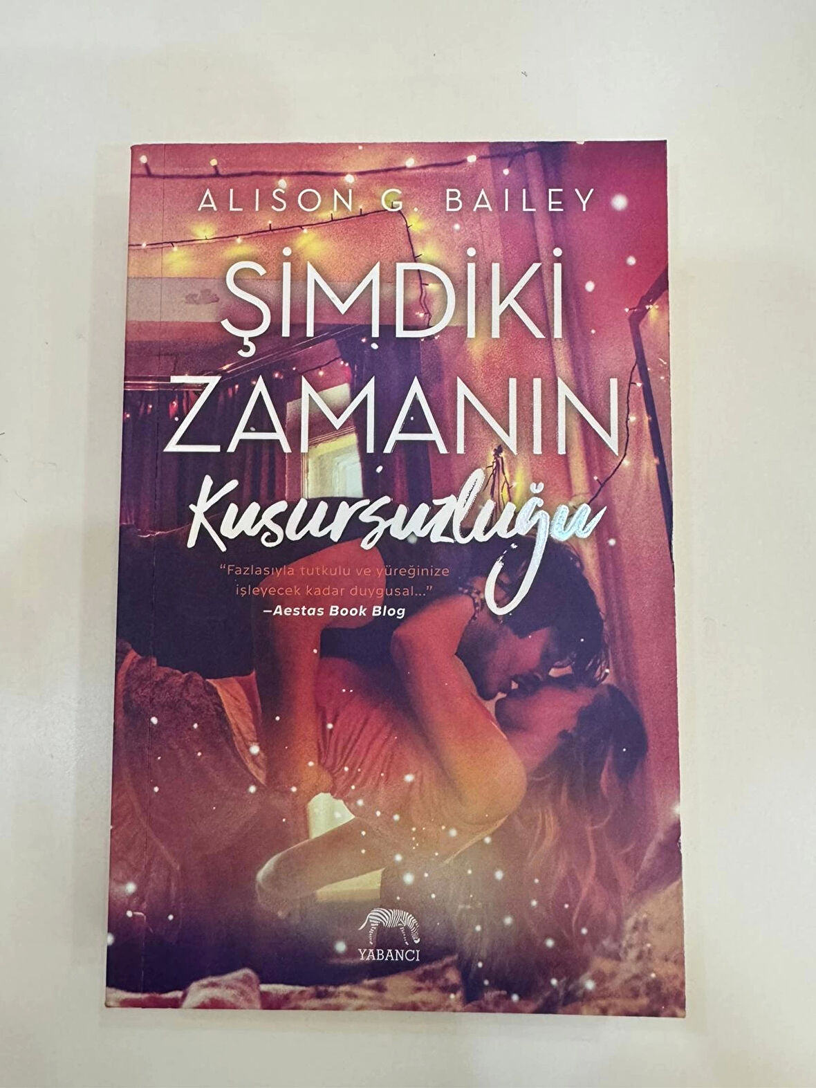 Şimdiki Zamanın Kusursuzluğu - Alison G. Bailey - Yabancı Yayınlar