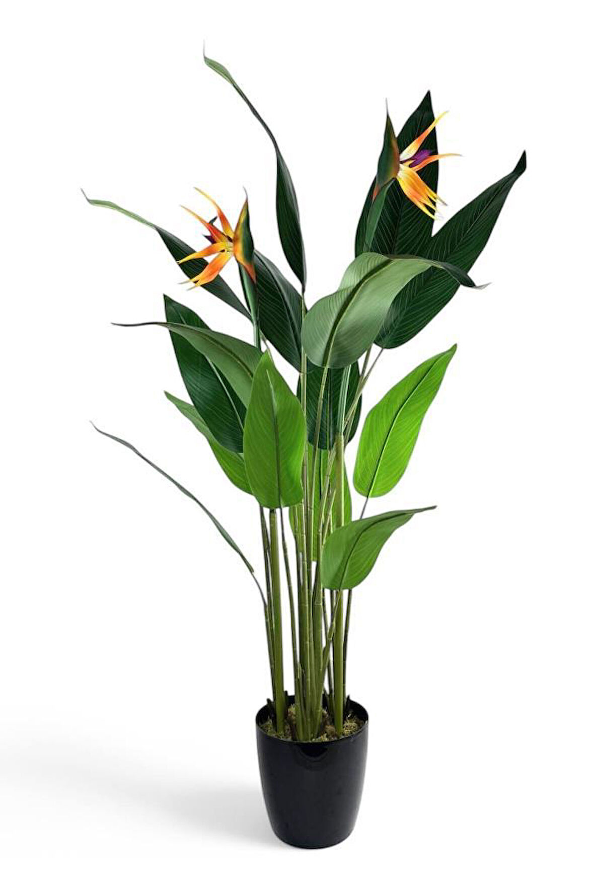 Yapay Ağaç Starliçe 160cm Horoz İbiği Çiçekli Bird of Paradise Artificial Plants