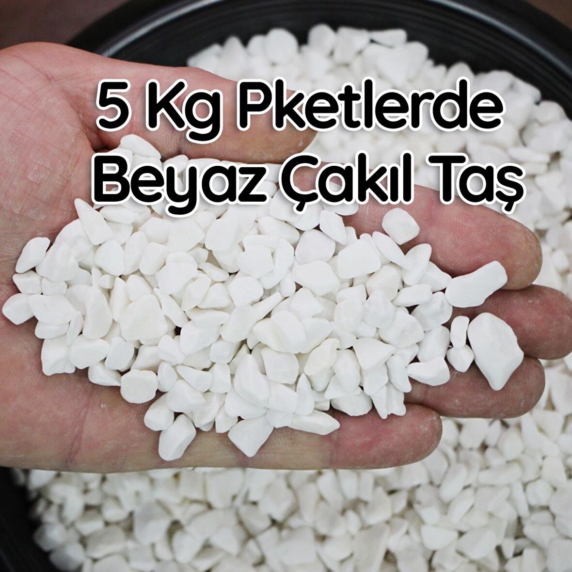 5 KgBeyaz Çakıl Taş Teraryum Süsü Fanus Çakıl Taşı Dekoratif Akvaryum Taşı1-2 cm çaplı