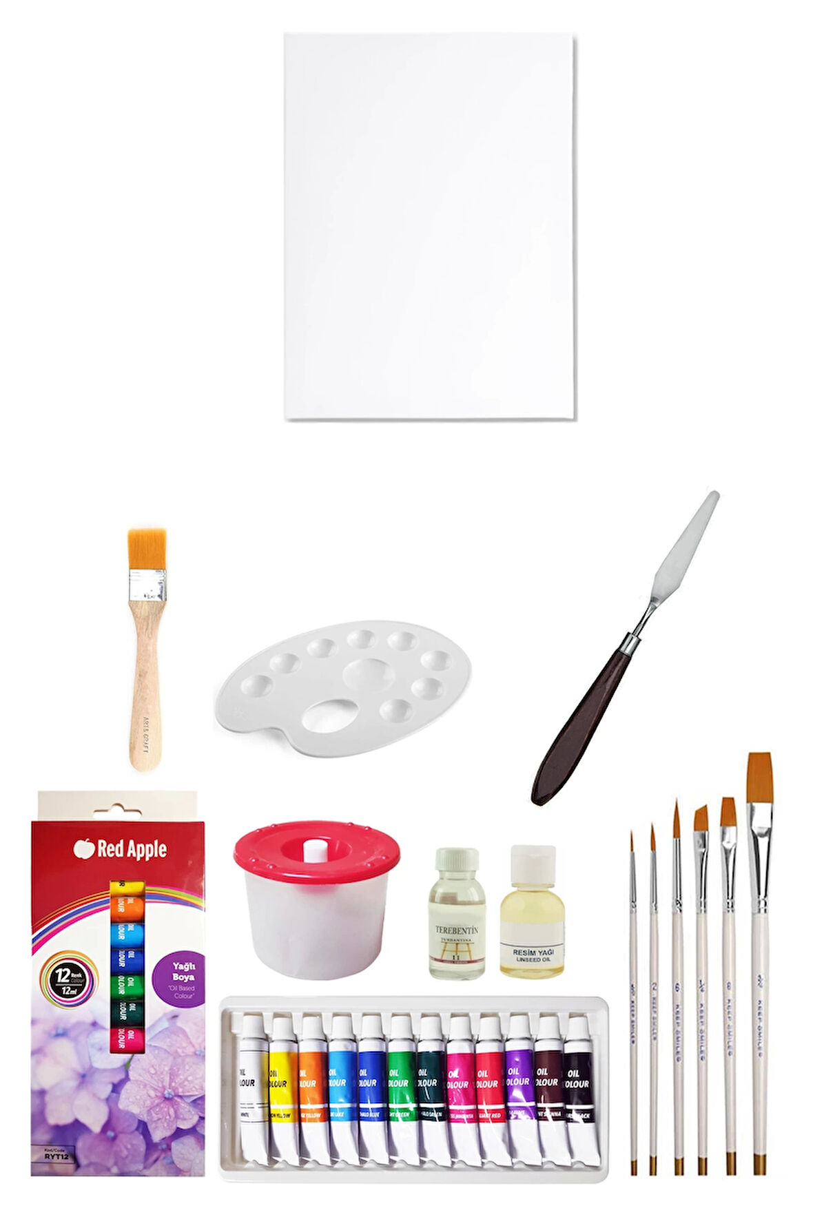 Red Apple Tüp Yağlı Boya Seti 12 ml 12'li 25x35 Tuval Seti Metal Spatül Zemin Fırça Resim Paleti