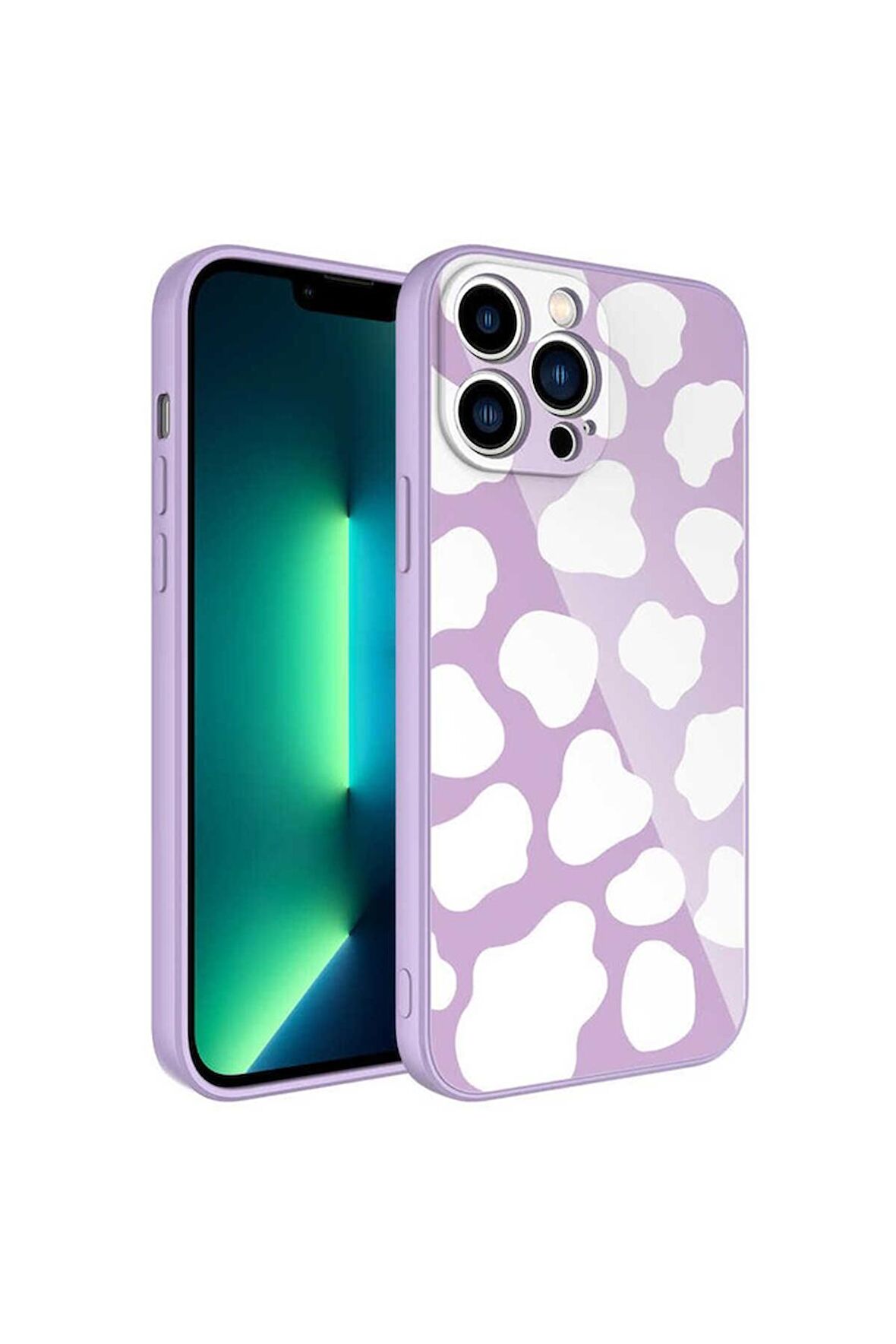 Apple iPhone 12 Pro Uyumlu Kılıf Kamera Korumalı Desenli Sert Silikon Epoksi Kapak NO6