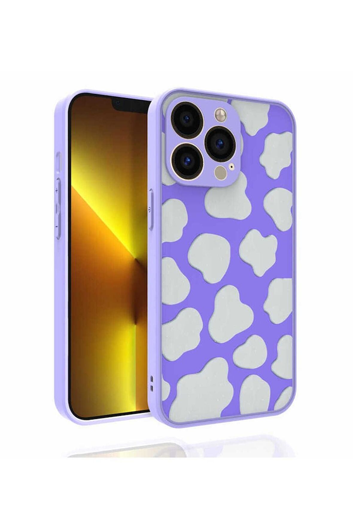 Apple iPhone 13 Pro Max Uyumlu Kılıf Desenli Kamera Korumalı Parlak Nora Kapak NO6