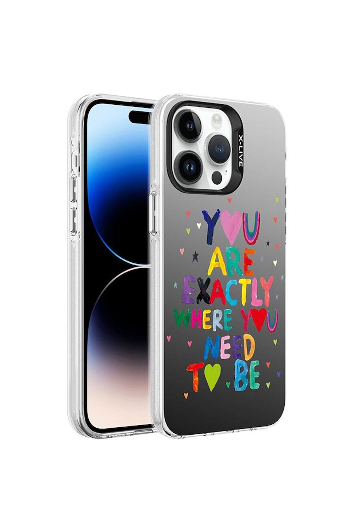 Apple iPhone 14 Pro Max Uyumlu Kılıf Desenli Silver Sert Kapak You