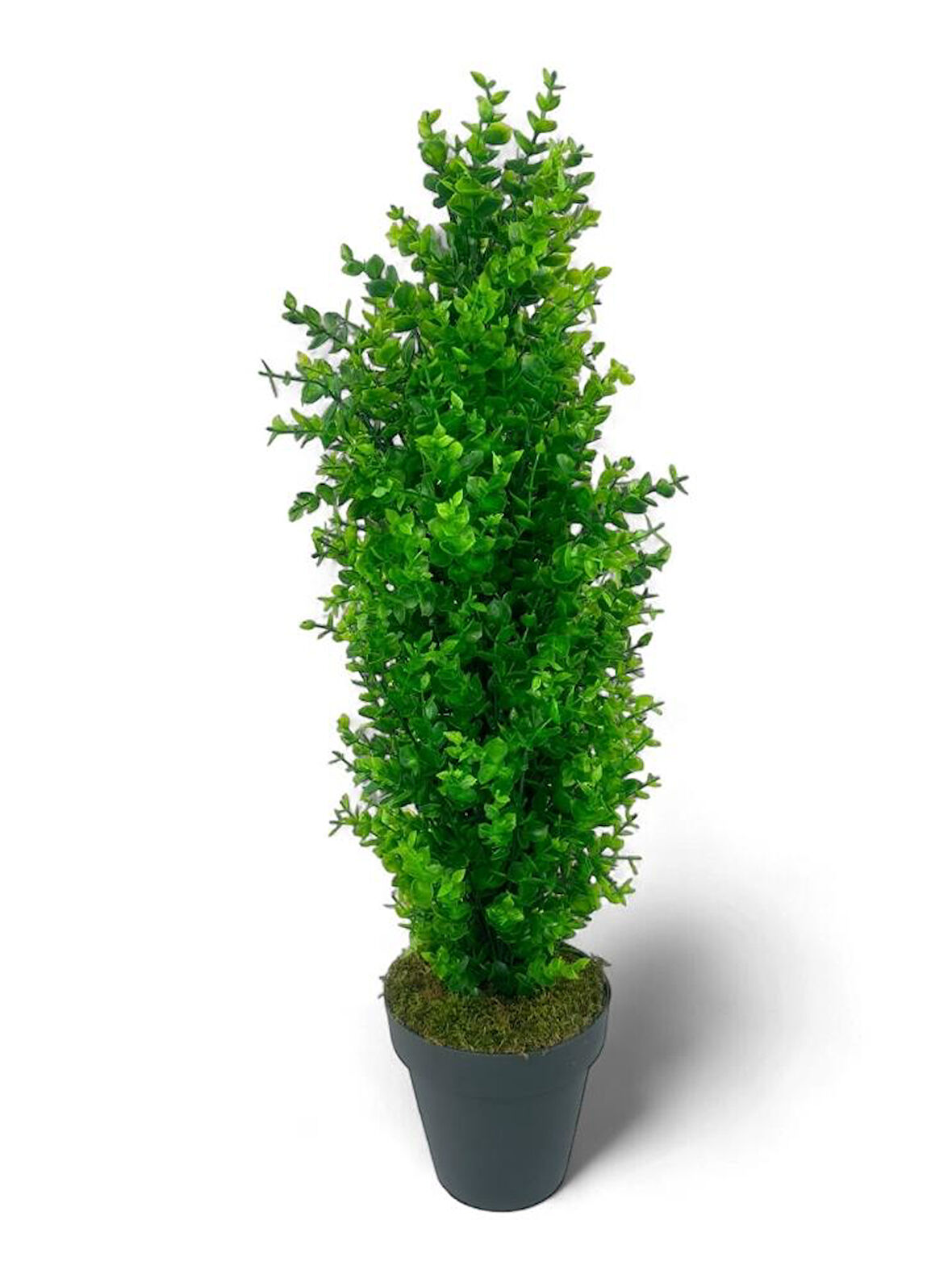 Yapay Çiçek Siyah Saksıda Yeşil Şimşir Ağacı 80*30cm
