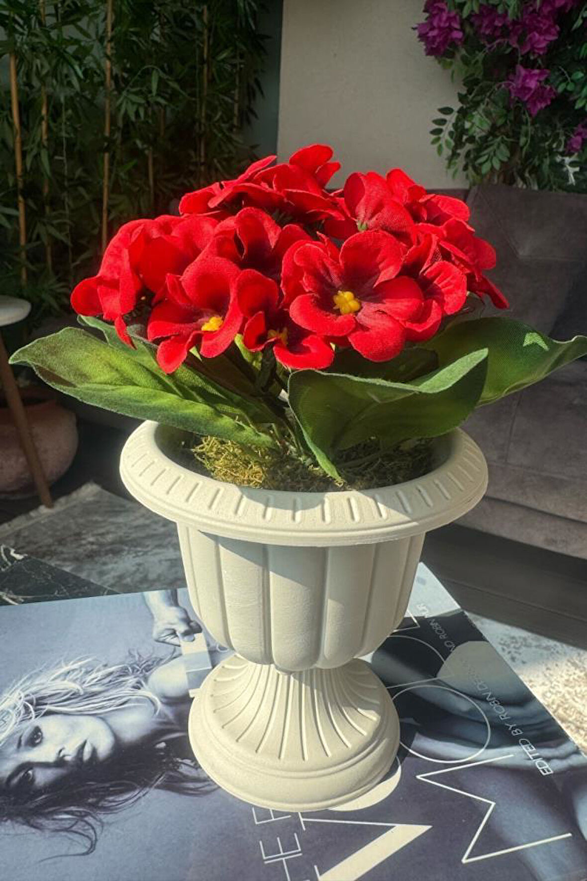 Yapay Çiçek Krem Antik Saksıda Kırmızı Kadife Menekşe Gerçekçi Doku 22cm