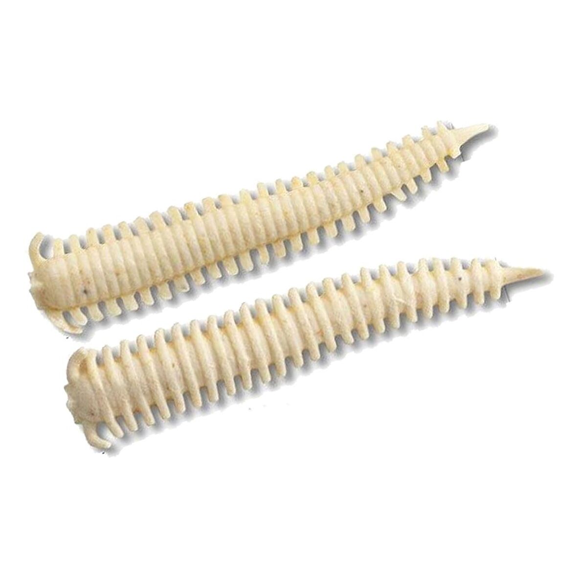 Berkley Gulp Alive Sandworm 5cm Silikon Kurt White