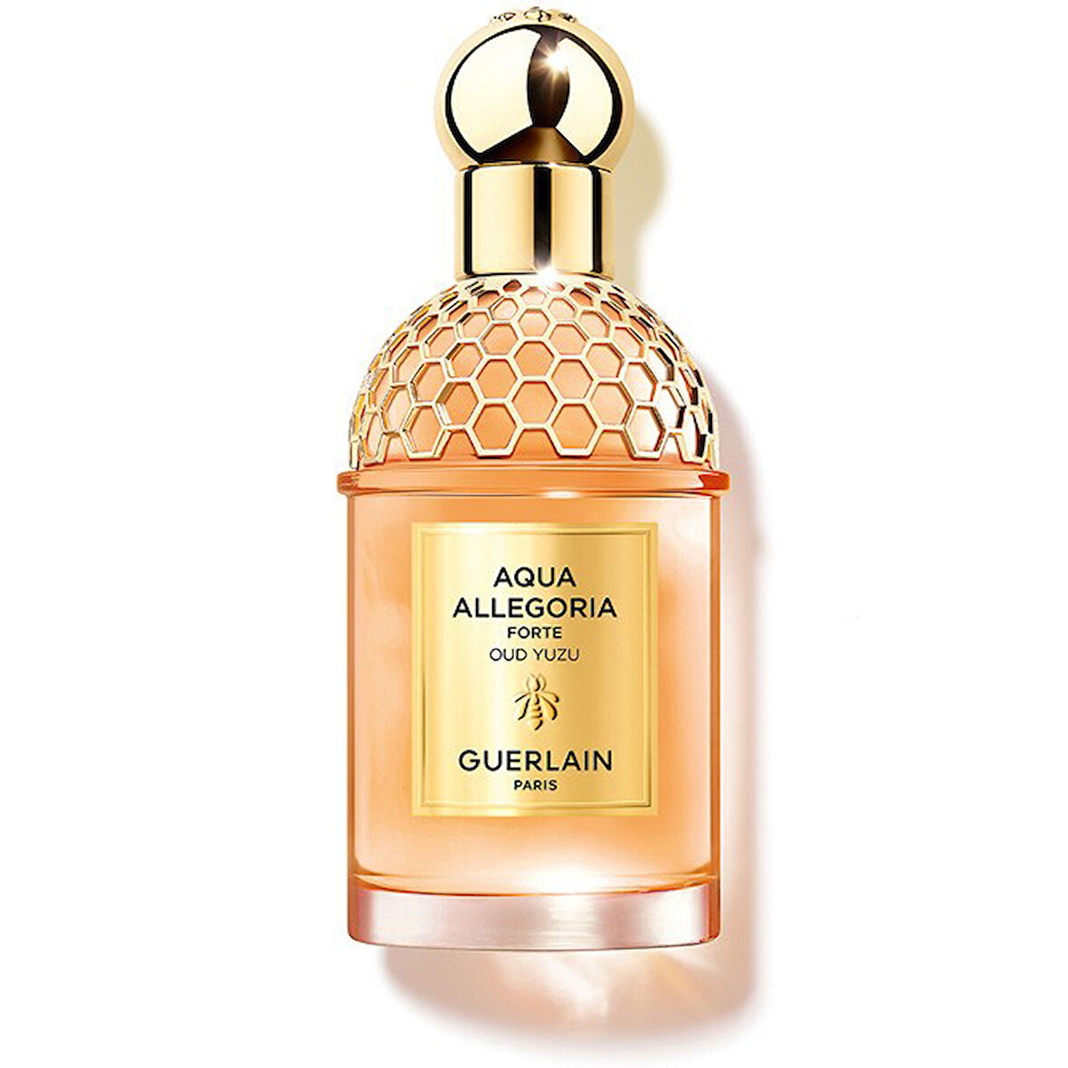 Guerlain Aqua Allegoria Forte Oud Yuzu 75 ML EDP Kadın Parfüm