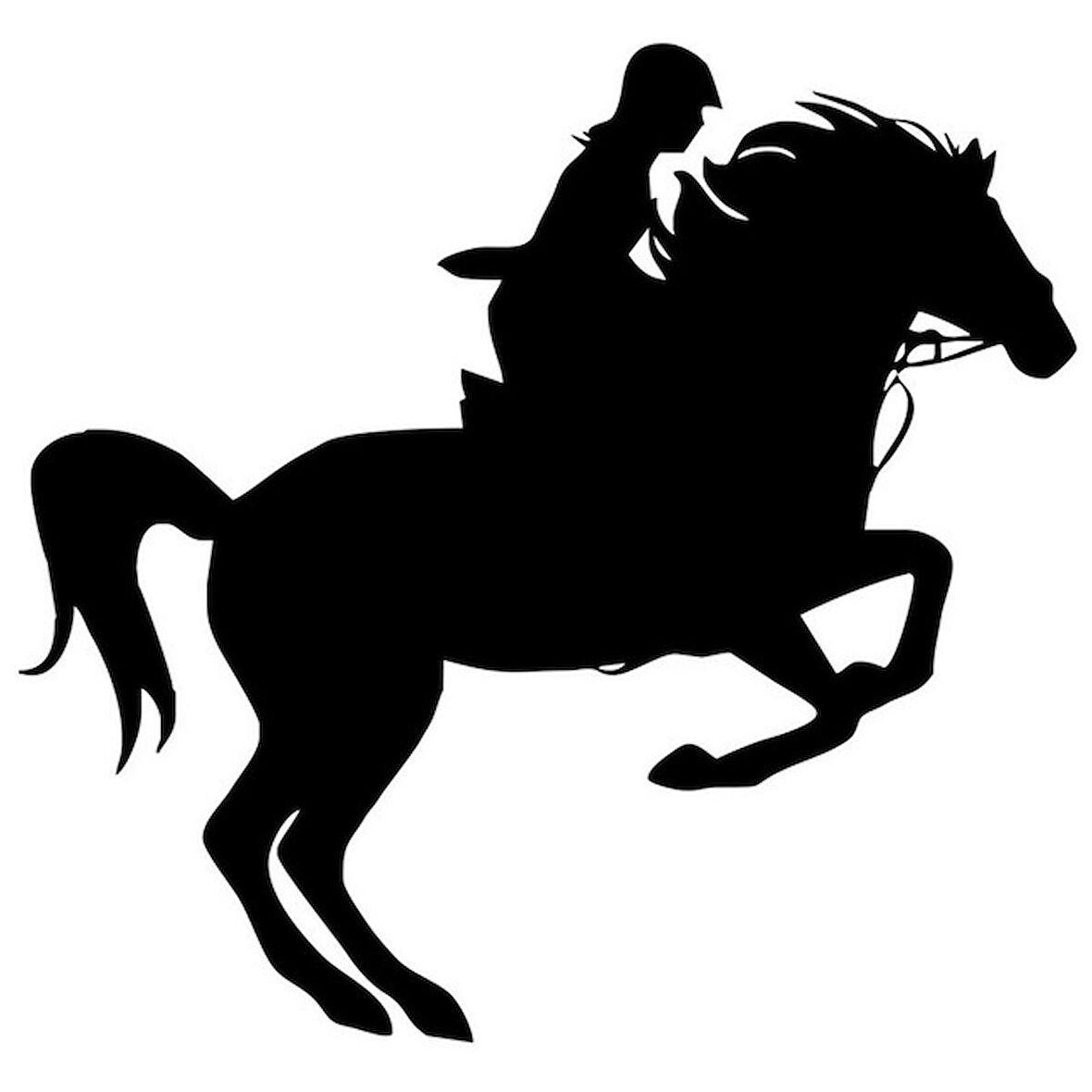 Binicilik At Araba Sticker Çıkartmaları 2
