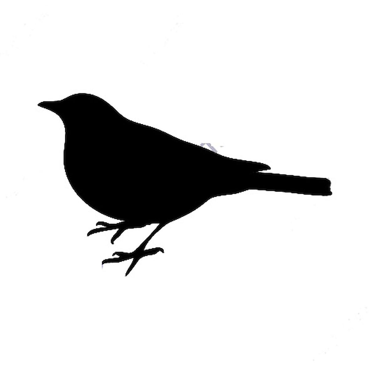 Yavru Kuş Sticker 15cm