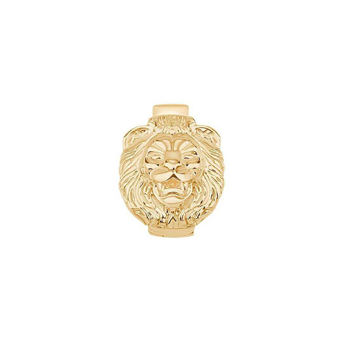 Aslan Charm