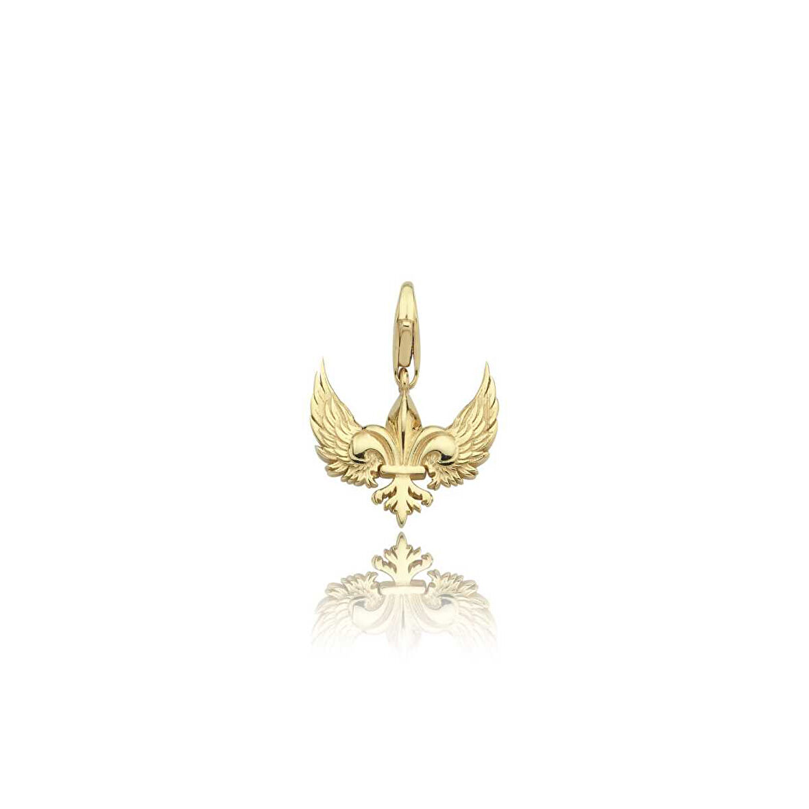 Kuş Kanadı Charm