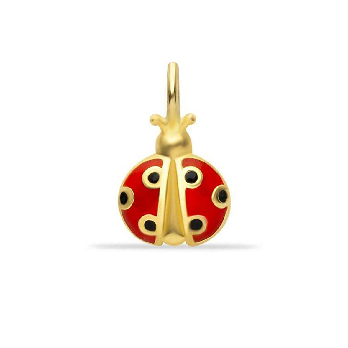 Uğur Böceği Charm