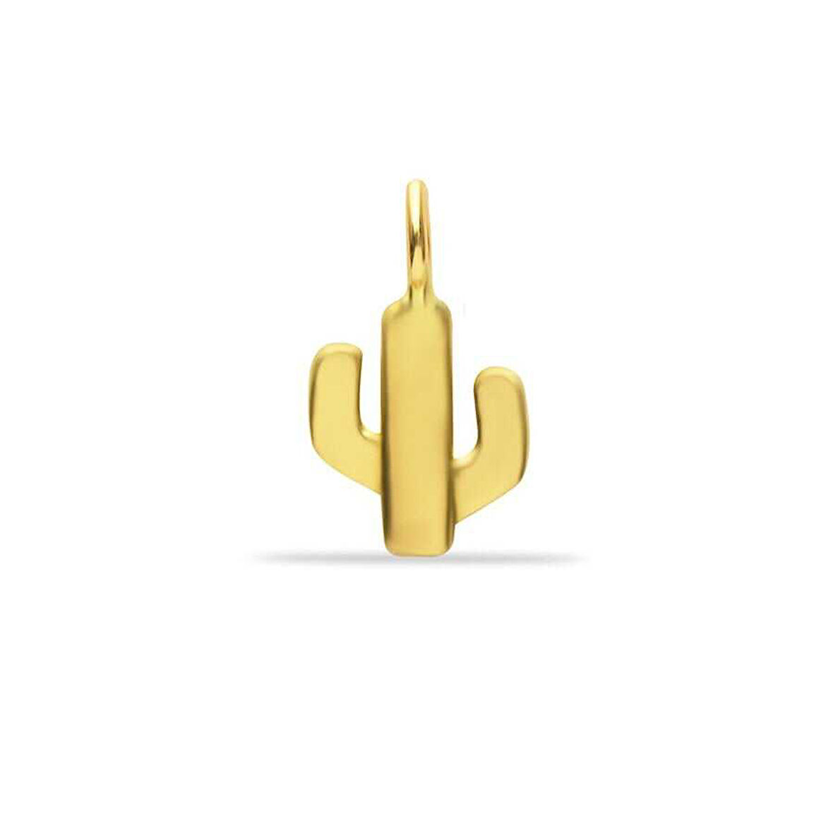 Kaktüs Charm