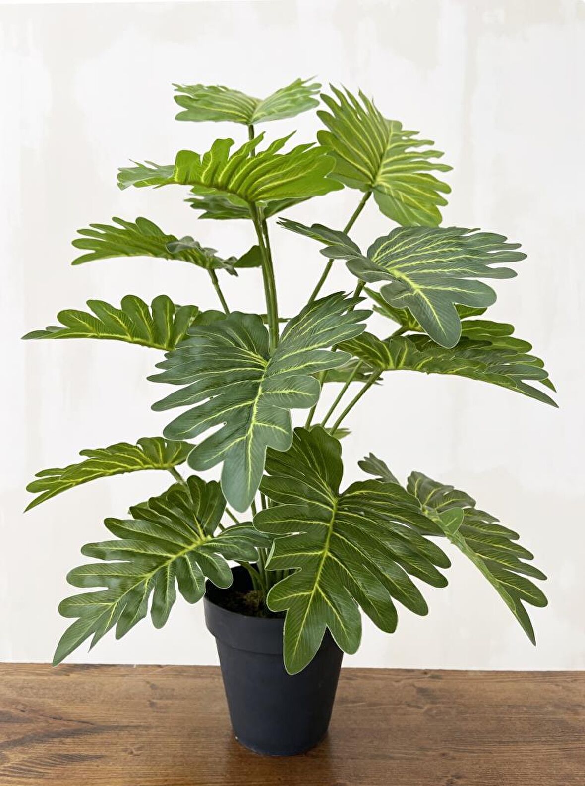 Yapay Ağaç Salon Bitkisi Syngonium 70 cm 18 Yaprak Antrasit Saksıda