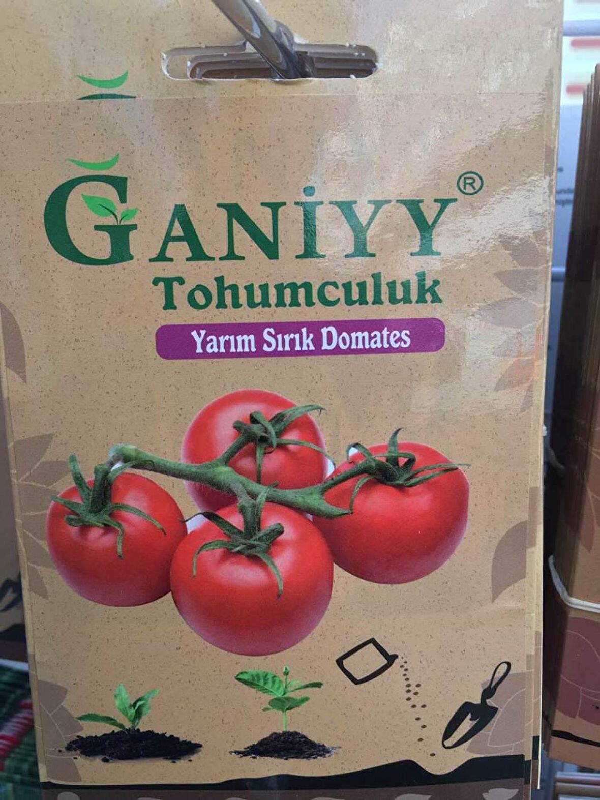 Ganiyy Yarım Sırık Domates Tohumu Kaliteli Güvenilir