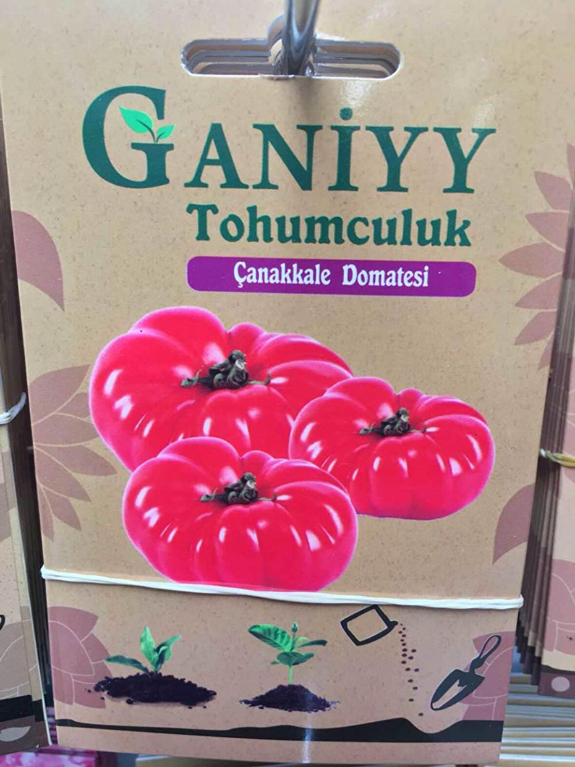 Ganiyy Çanakkale Domatesi Tohumu Kaliteli Güvenilir