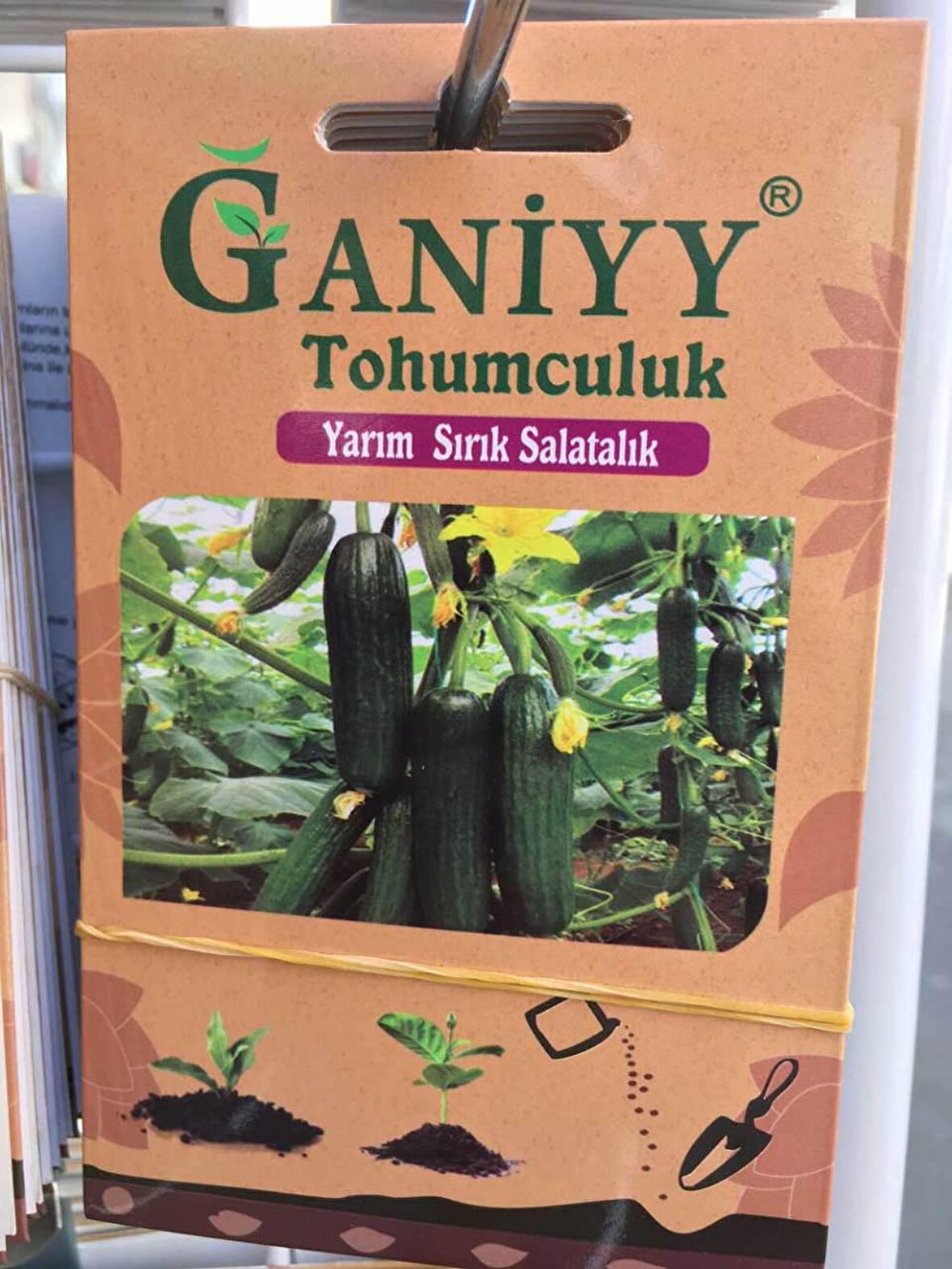 Ganiyy Yarım Sırık Salatalık Tohumu Kaliteli Güvenilir