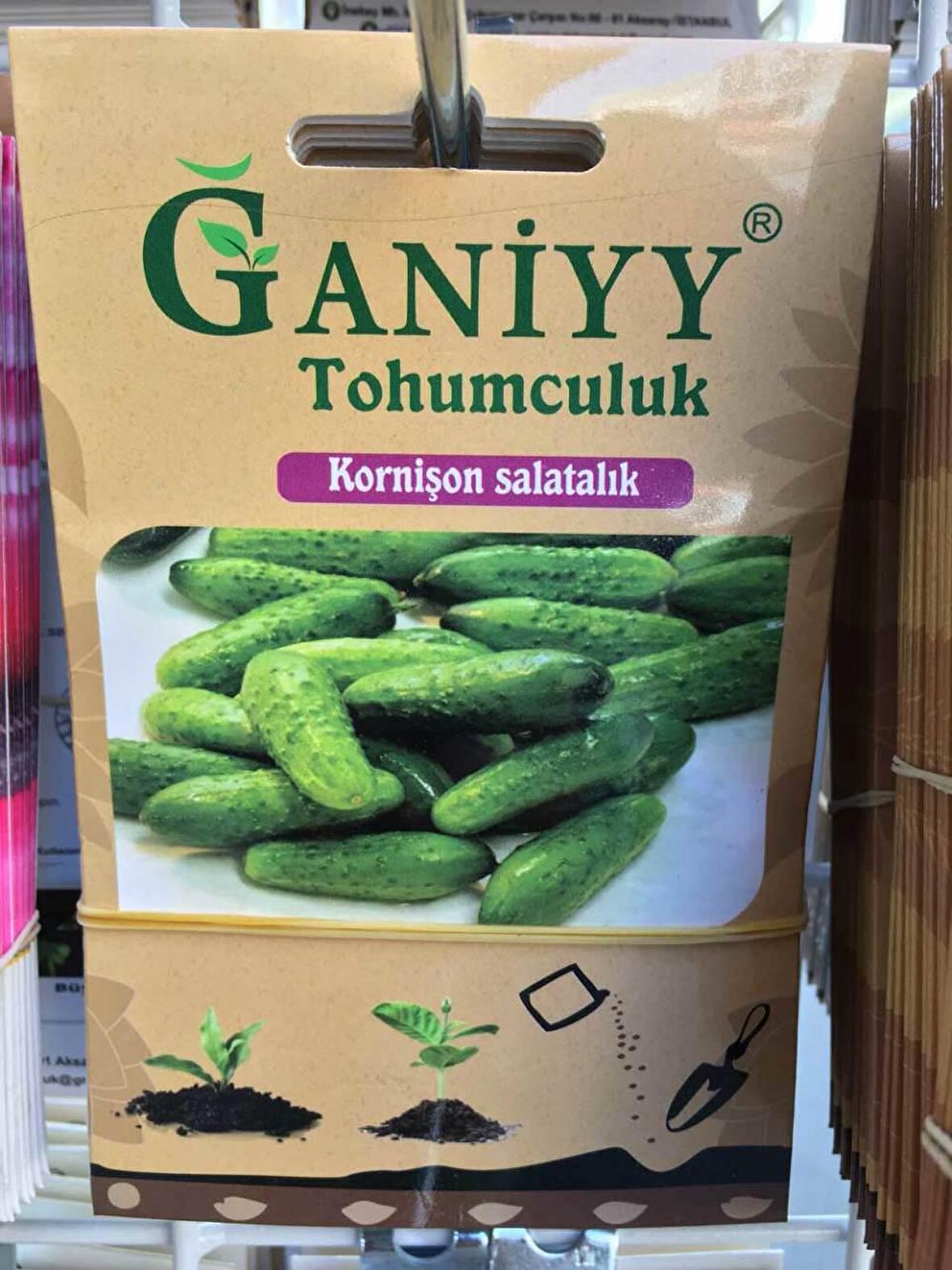 Ganiyy Kornişon Salatalık Tohumu Kaliteli Güvenilir