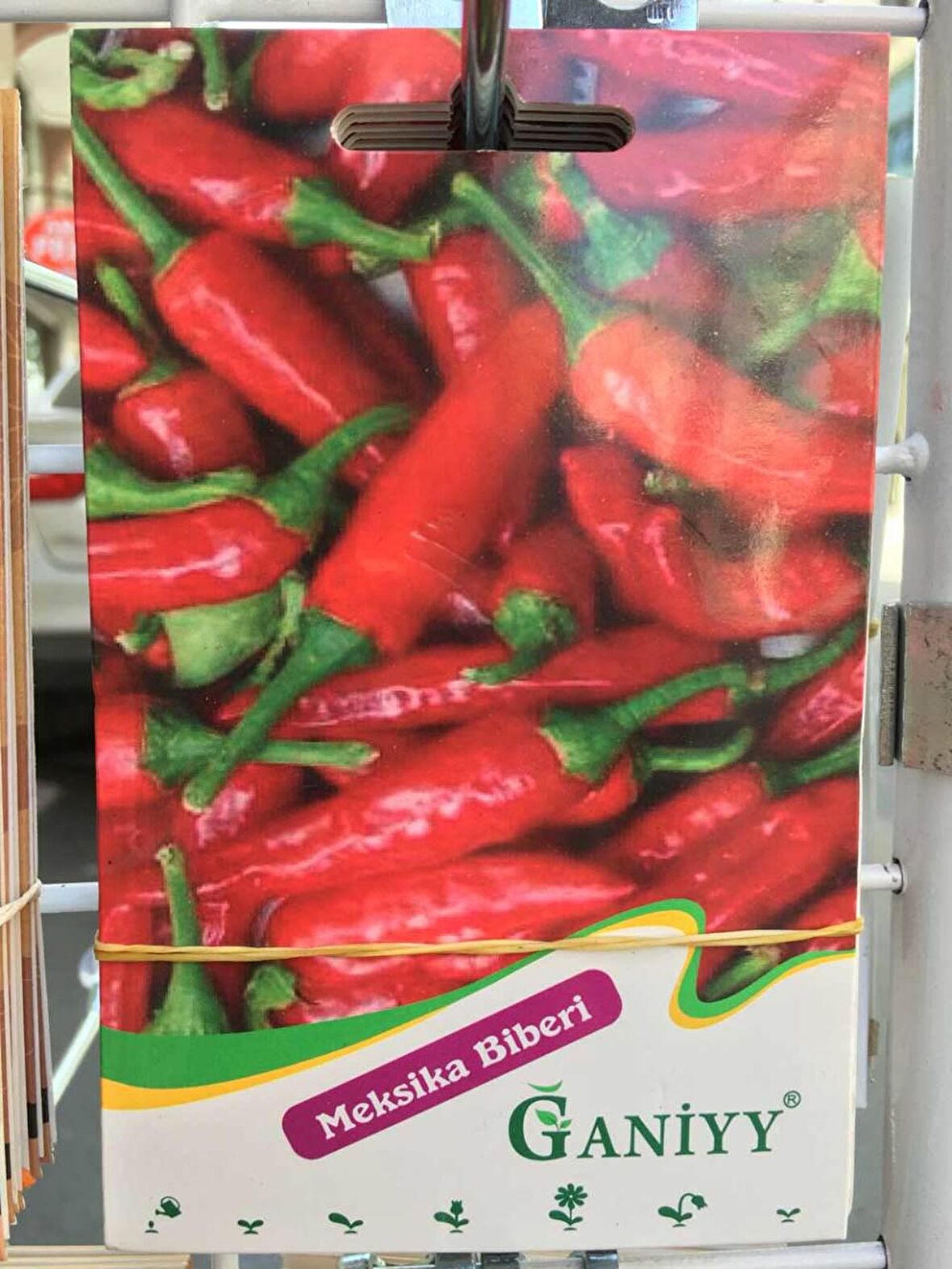 Ganiyy Meksika Biberi Tohumu Kaliteli Güvenilir