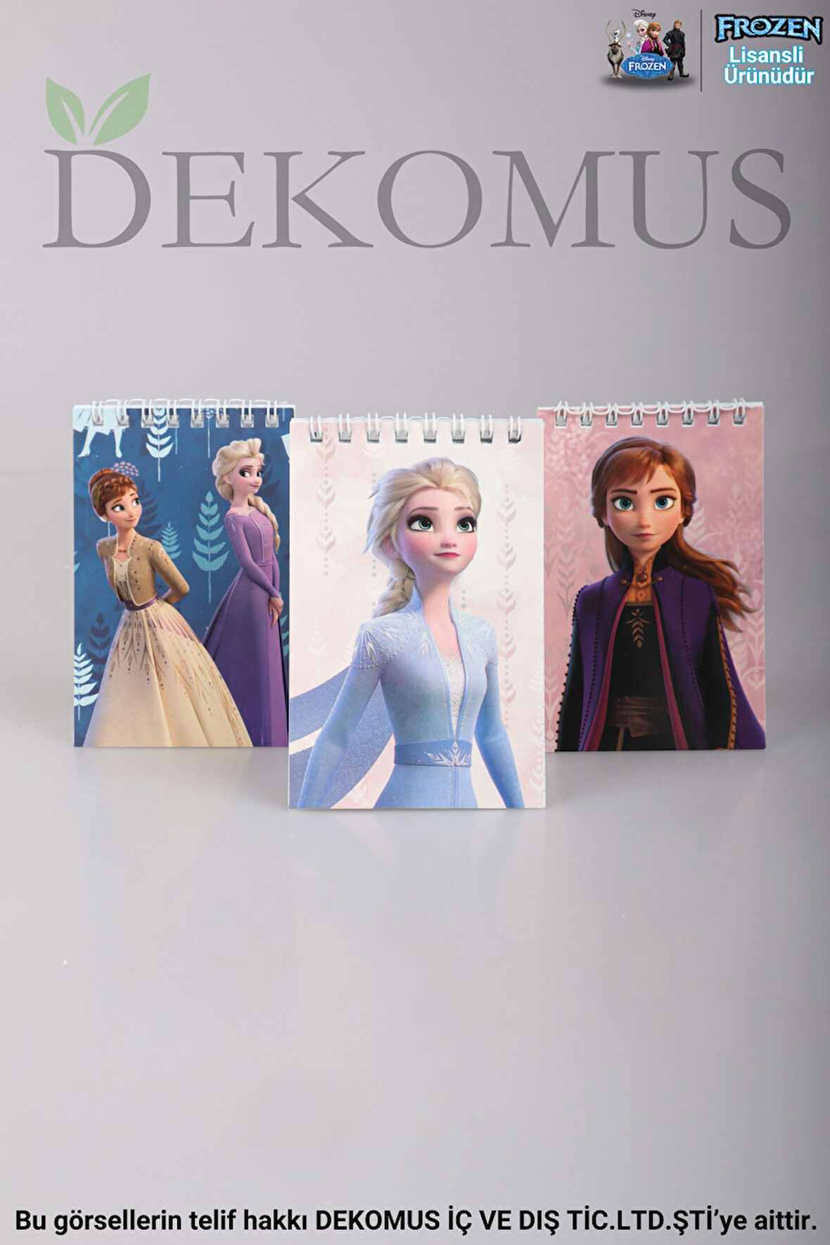 DEKOMUS İLE LİSANSLI FROZEN ELSA A7 NOT DEFTERİ 