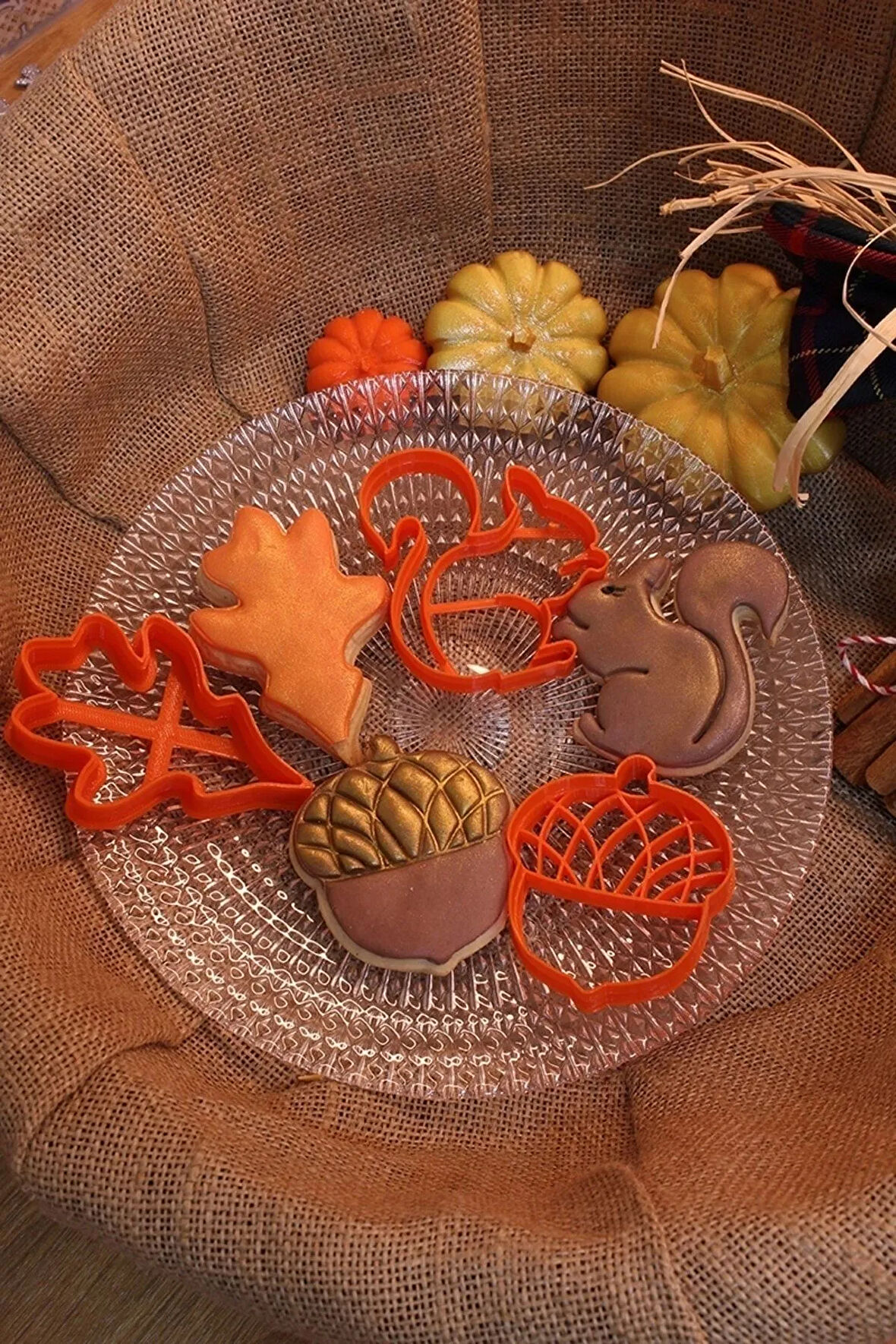 Sincap Meşe Palamudu Ve Yaprak Kurabiye Kalıbı Ve Hamur Şekillendirici 3lü Set