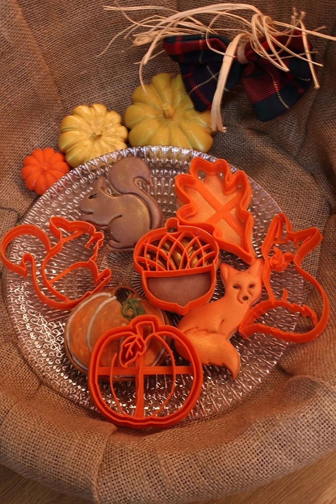 Sonbahar Seti Balkabağı Akçaağaç Yaprağı Meşe Palamudu Sincap Tilki Kurabiye Kalıbı