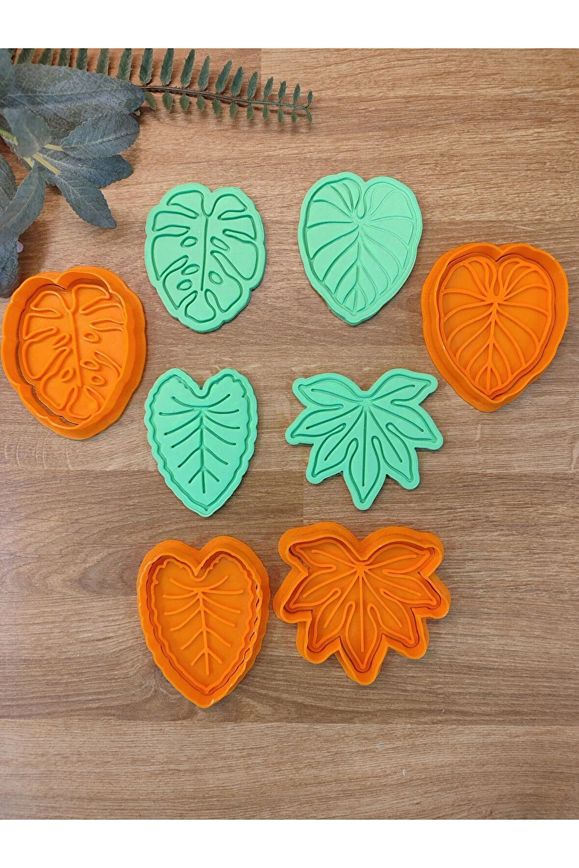 Yapraklar Monstera Çınar Sonbahar Yaprağı Kurabiye Kalıbı Seti