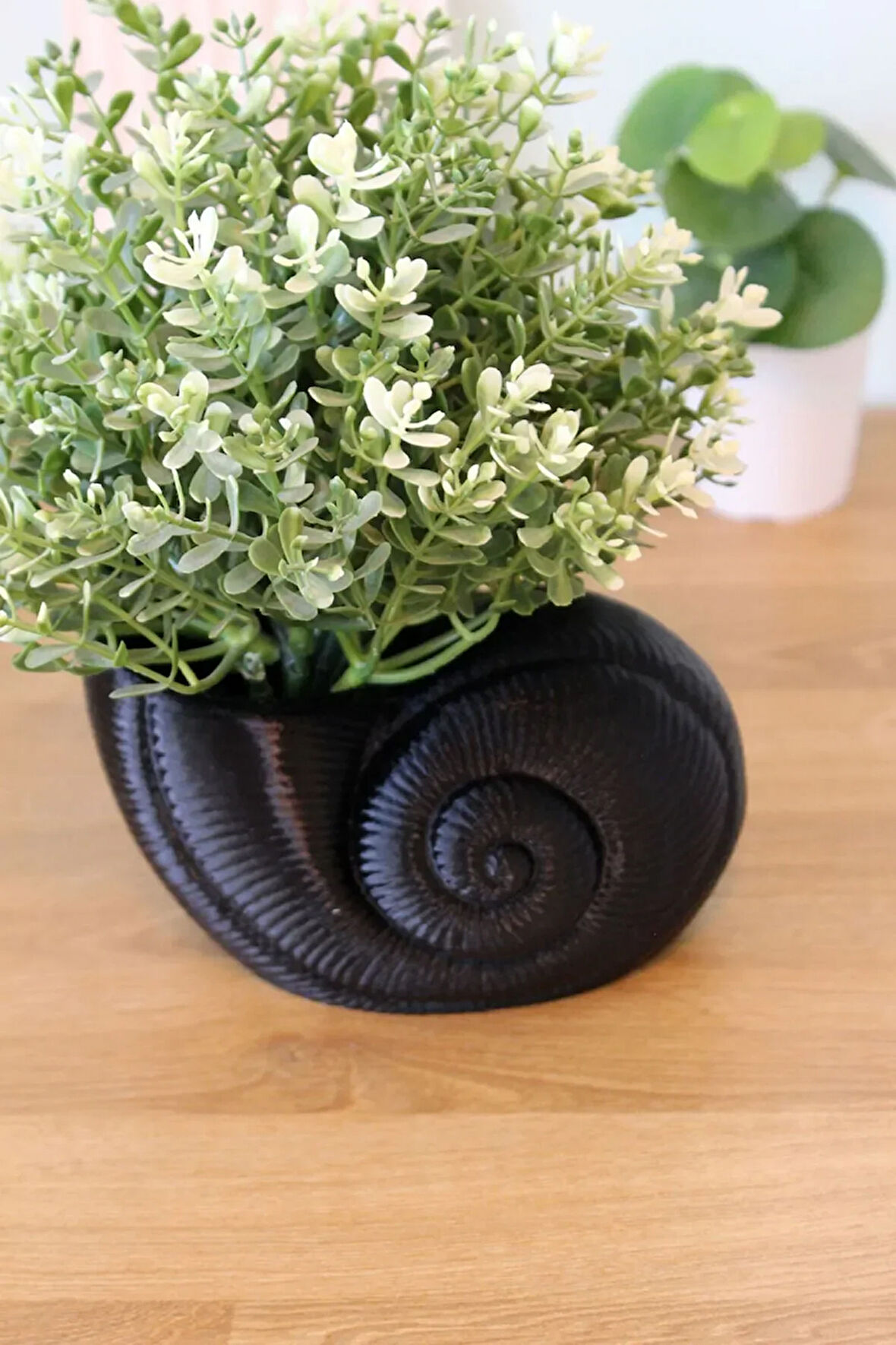 Deniz Kabuğu Istiridye Midye Dekoratif Çok Amaçlı Organizer Düzenleyici Vazo Siyah